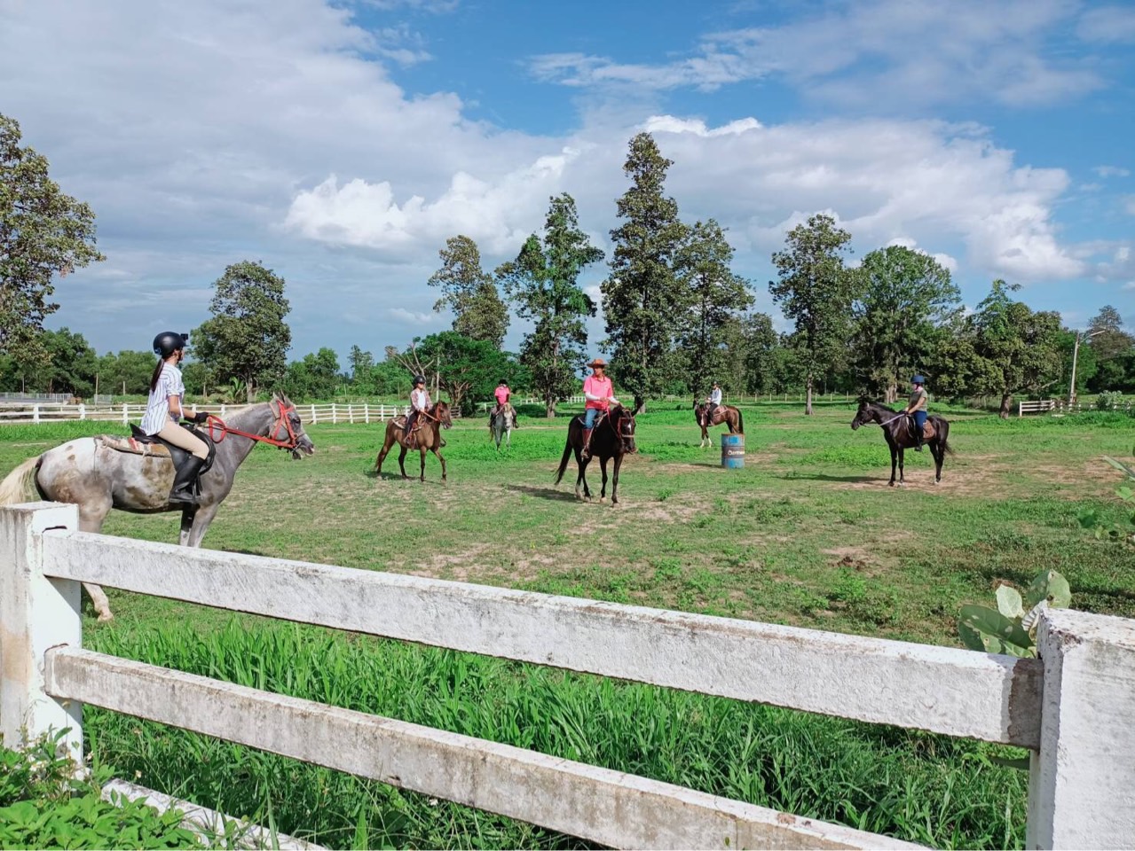 On Horse Farm