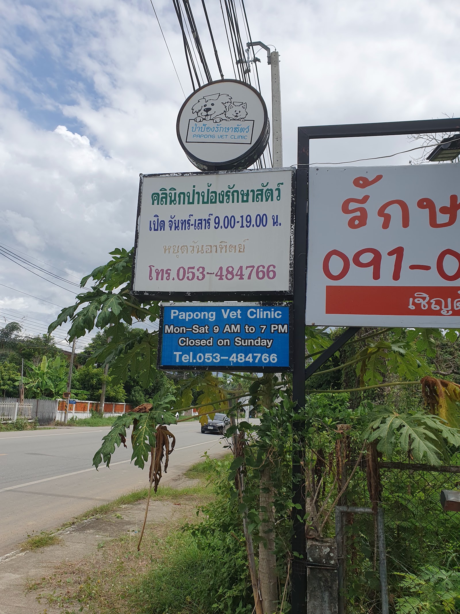 Papong Vet Clinic