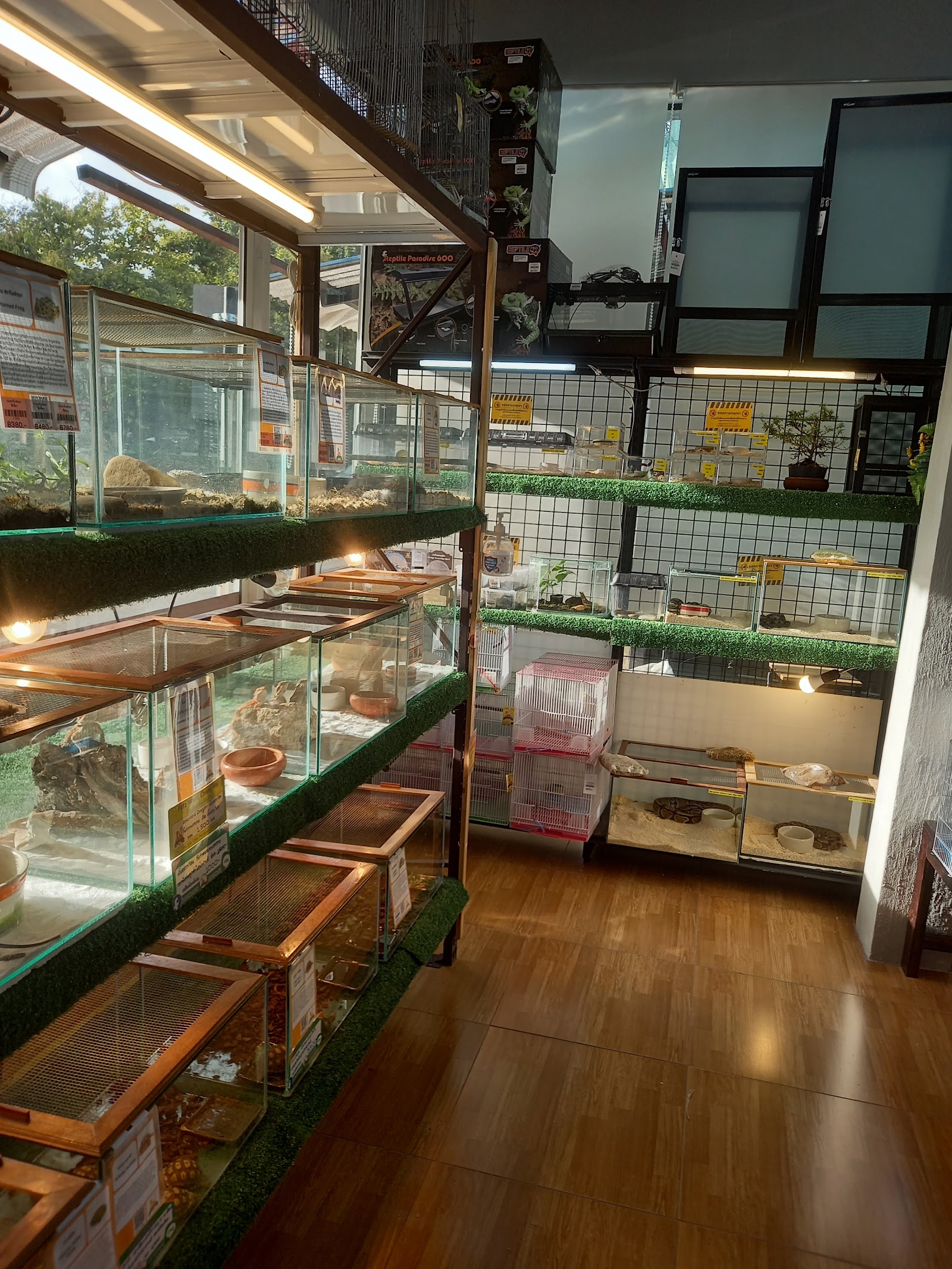 Petz World Chiang Mai