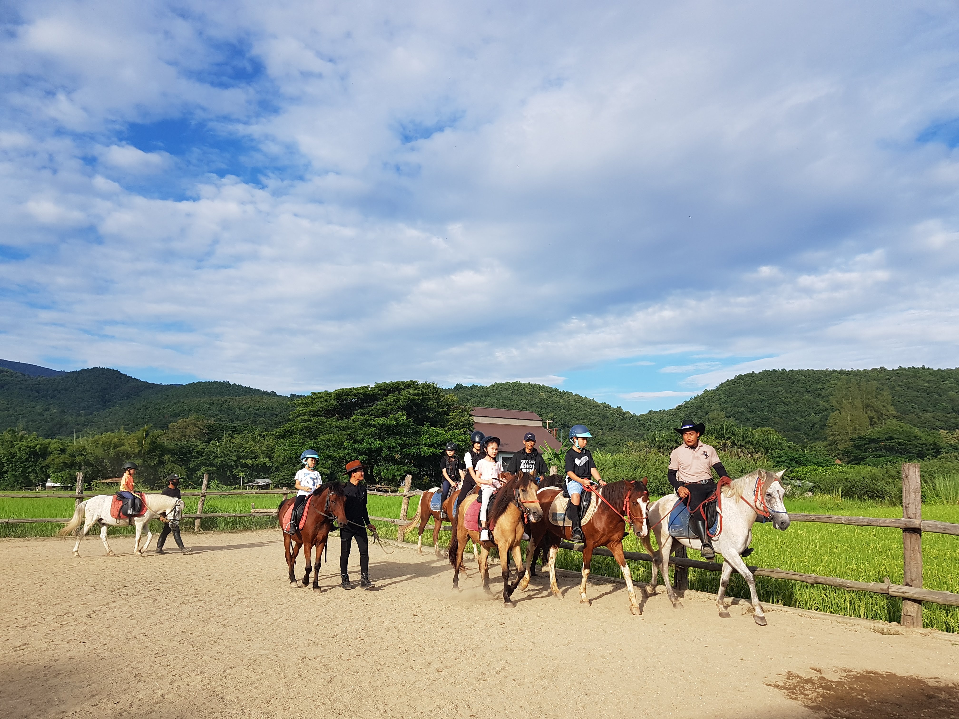 Pong Horse Park