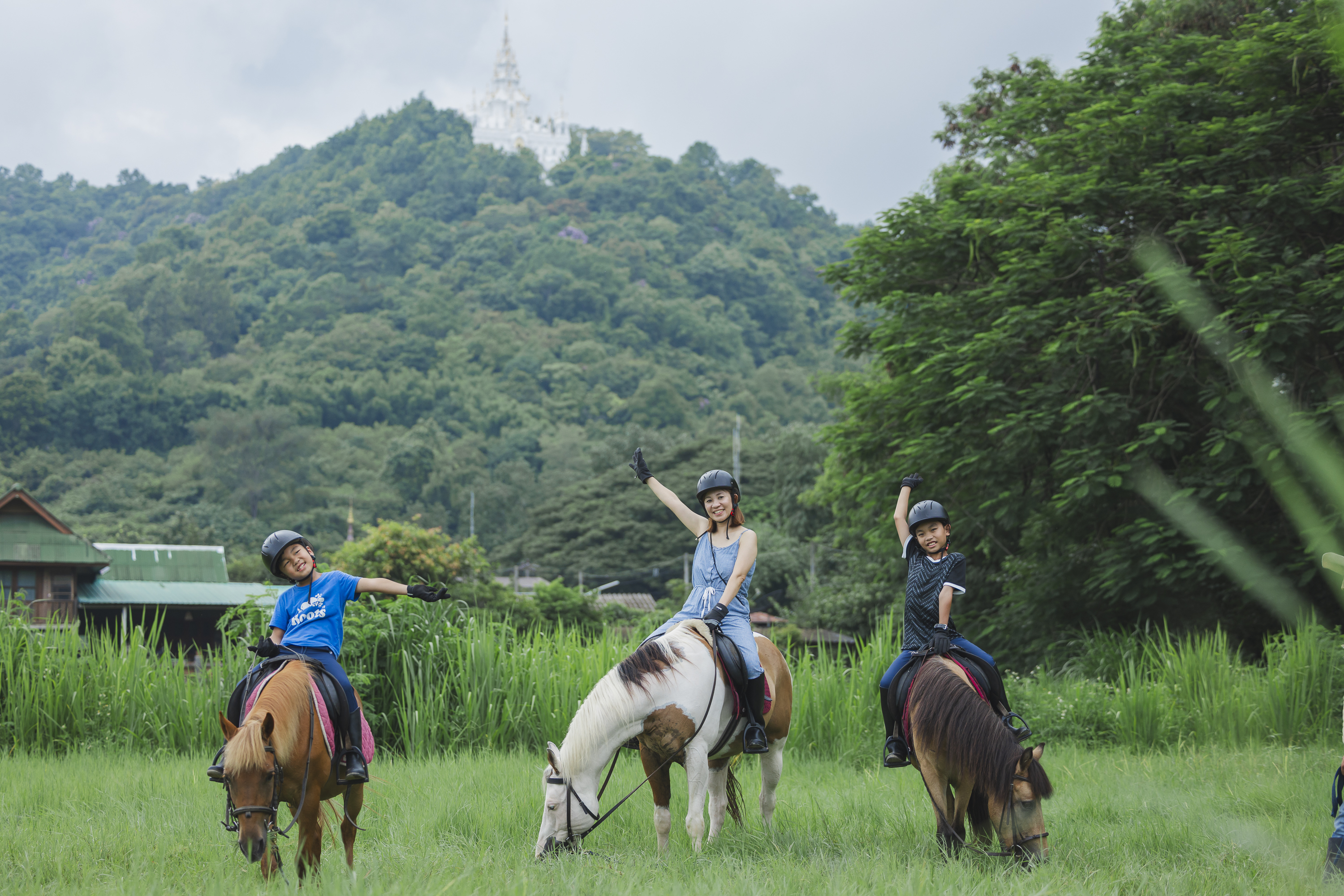 Pong Horse Park