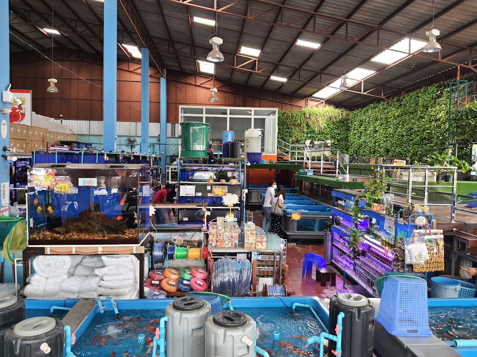 Shogun Fish Farm Fish Store