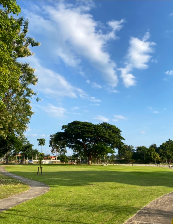 The Masterpiece Scenery Hill