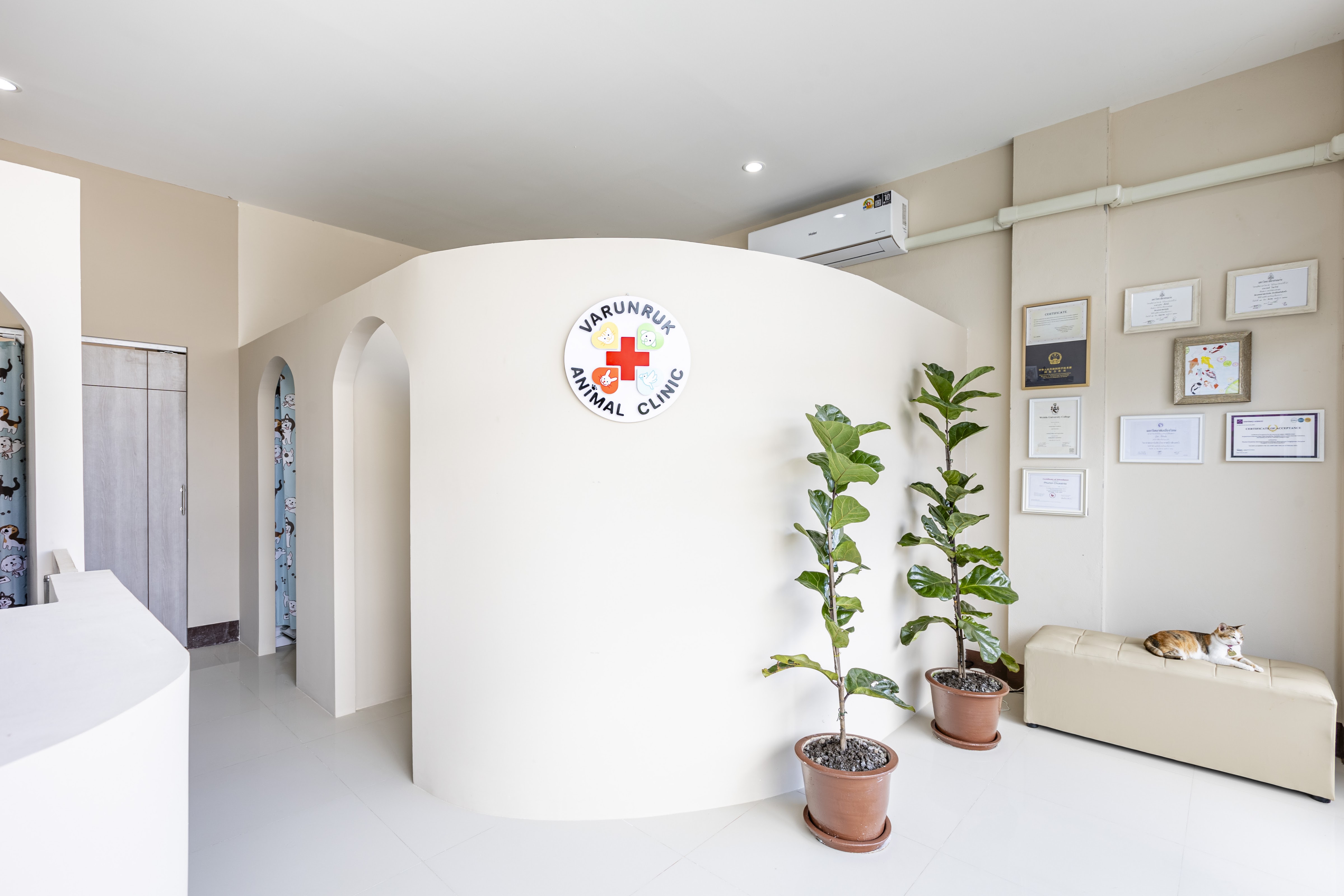 Varunruk animal clinic