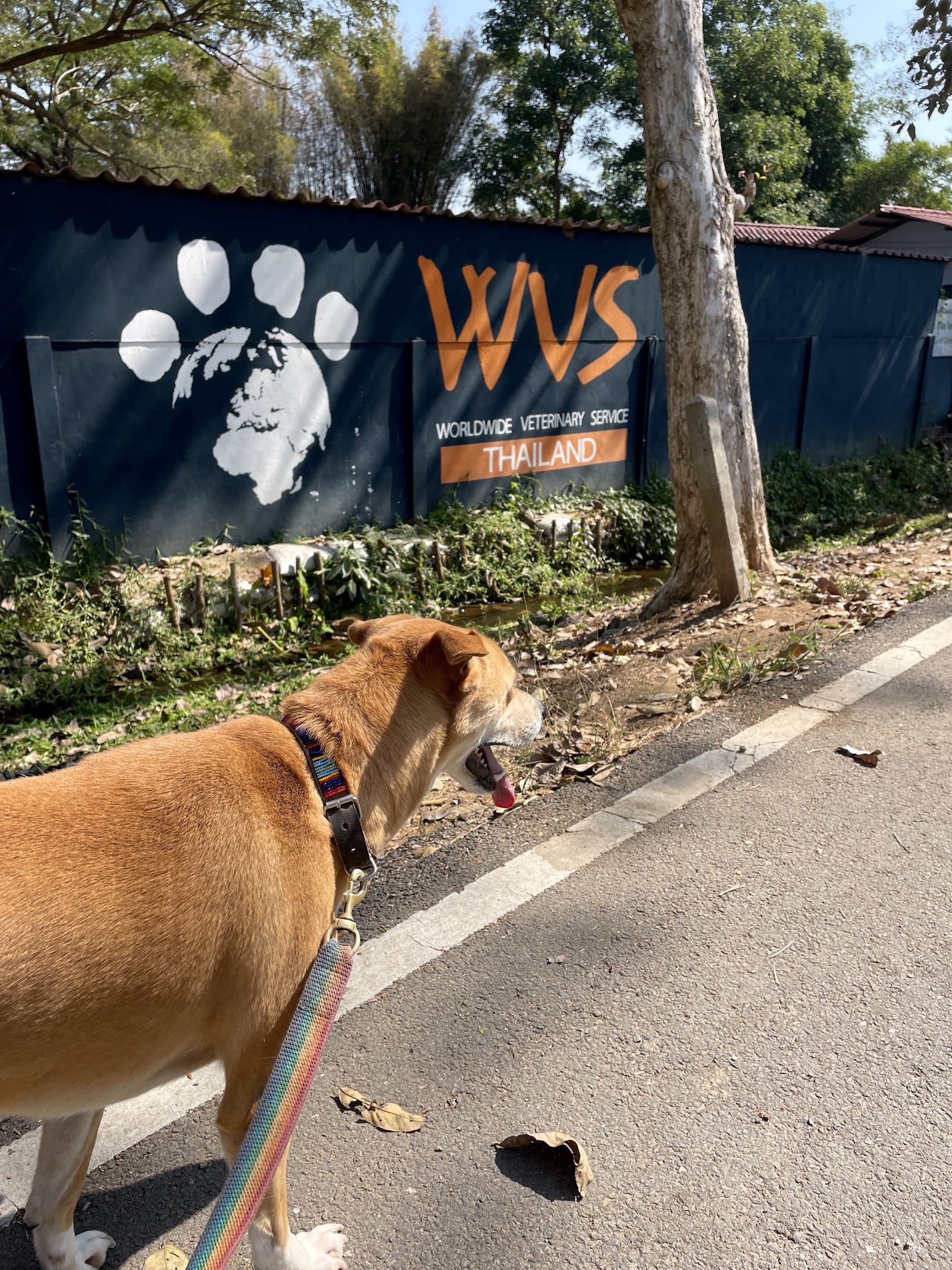 WVS Thailand