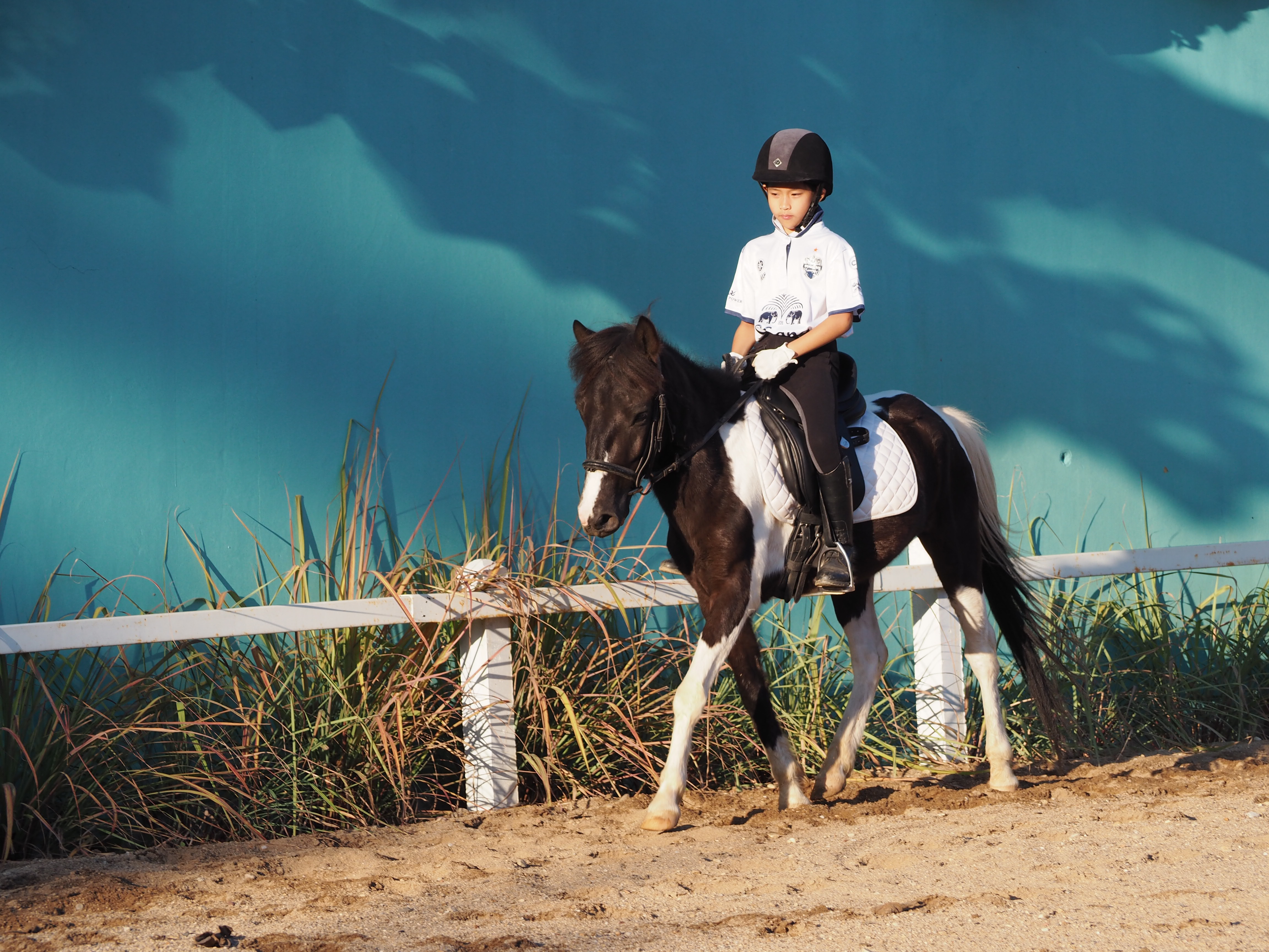 L'effort Equestrian club