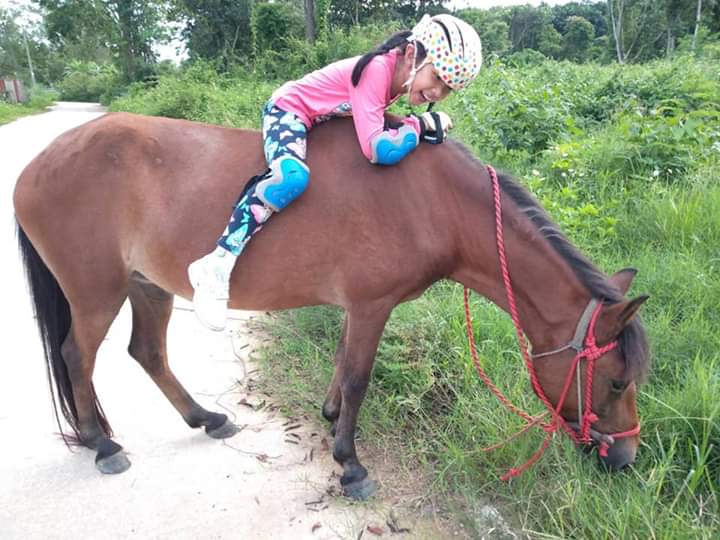 Orsen Horses