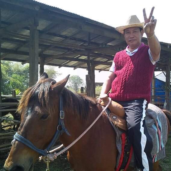 Orsen Horses