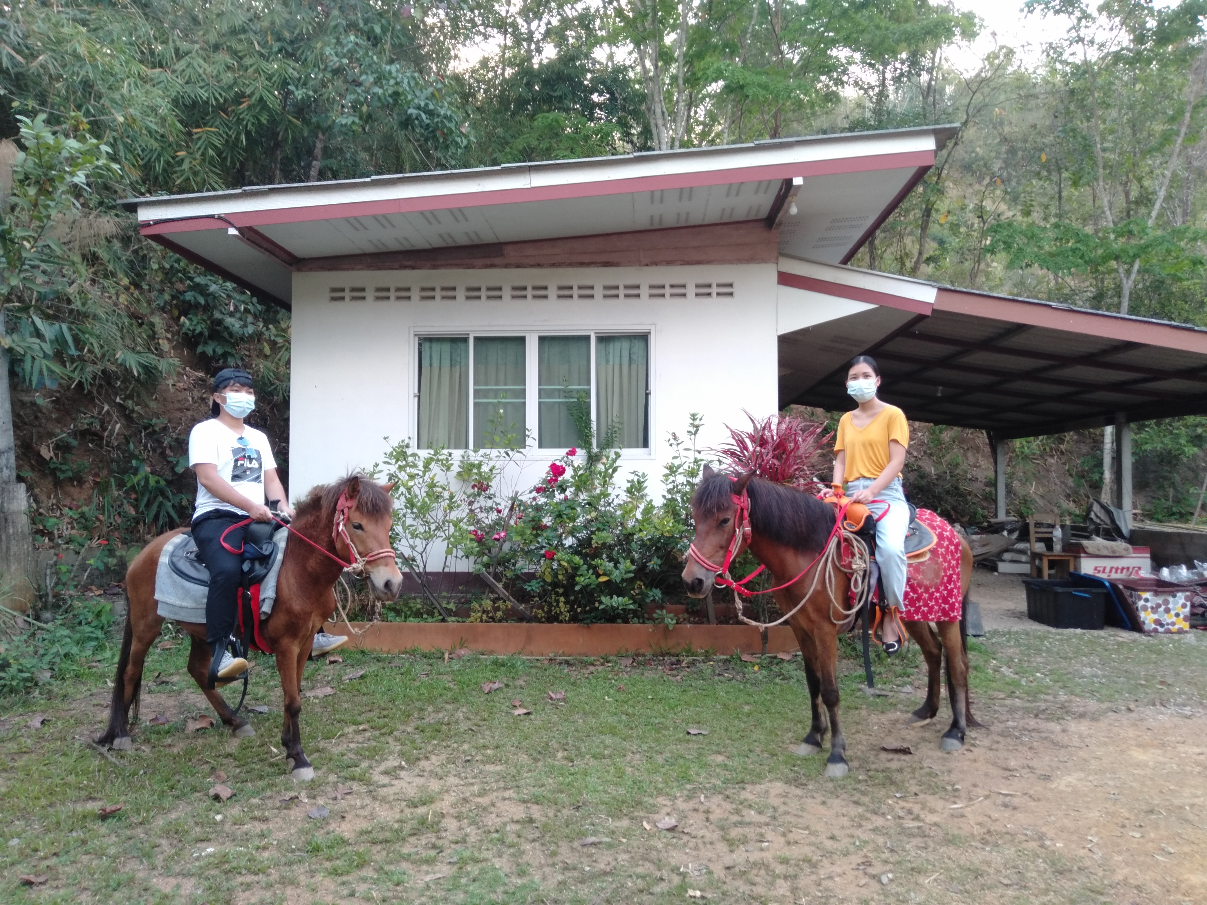 Orsen Horses