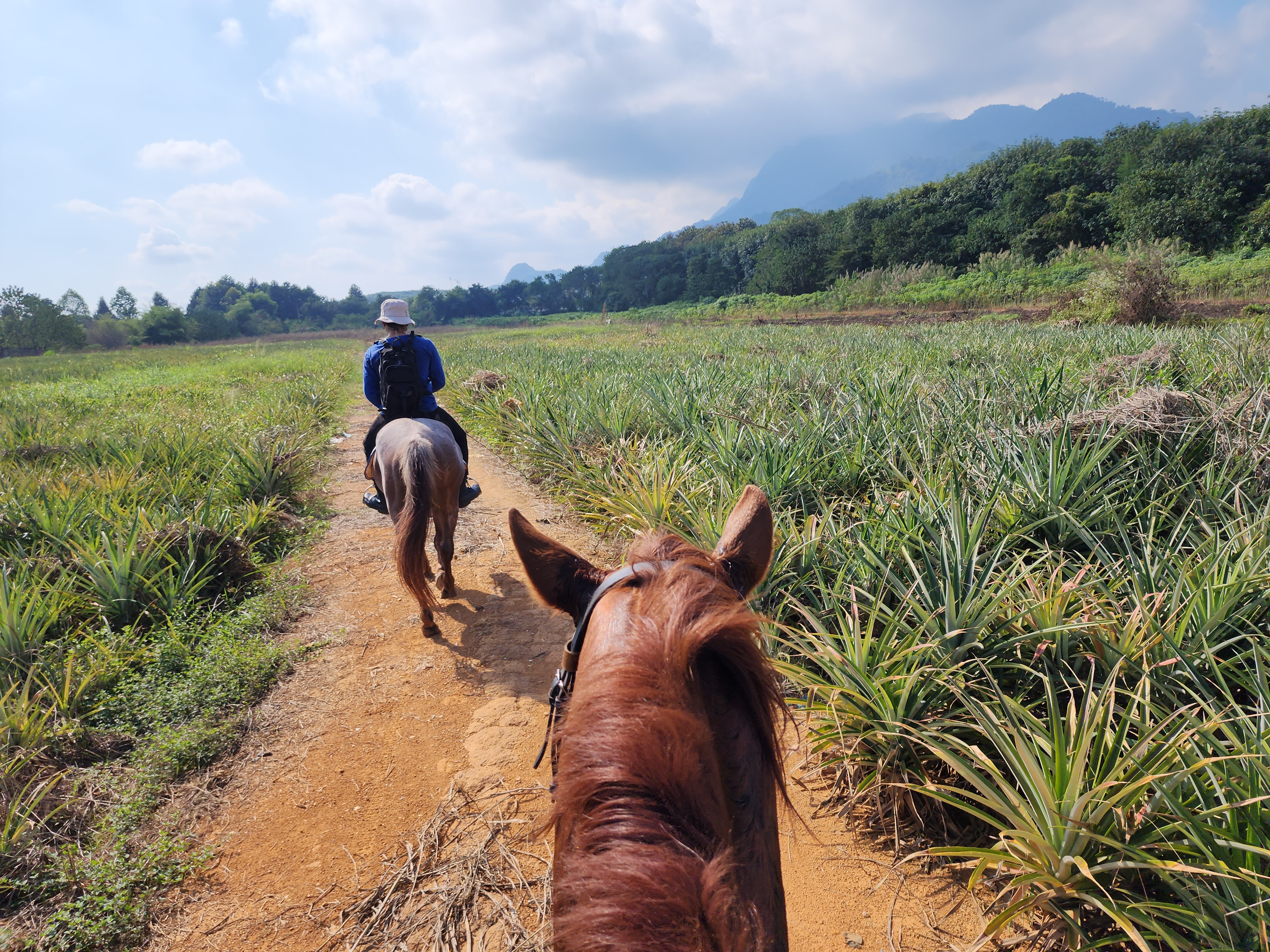 Swanna Equestrian Center