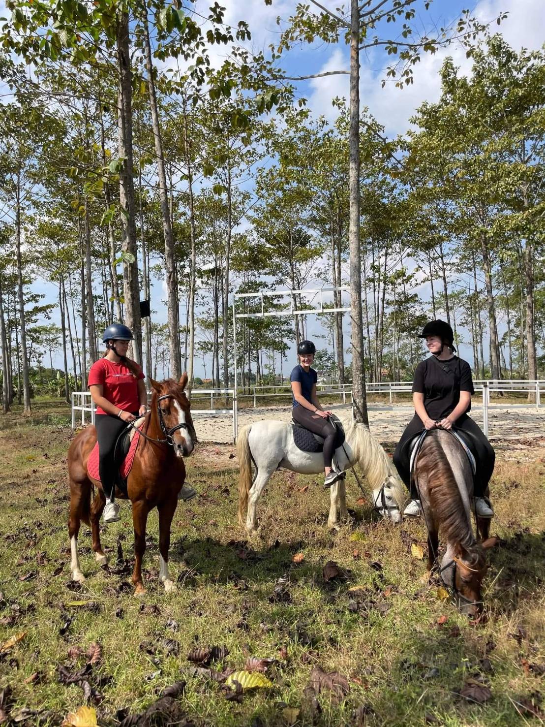Toryga Horse Farm