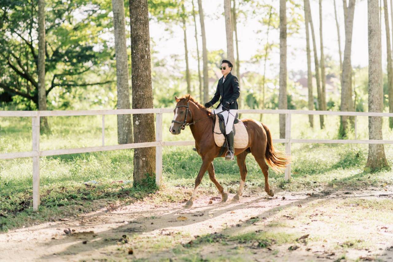 Toryga Horse Farm