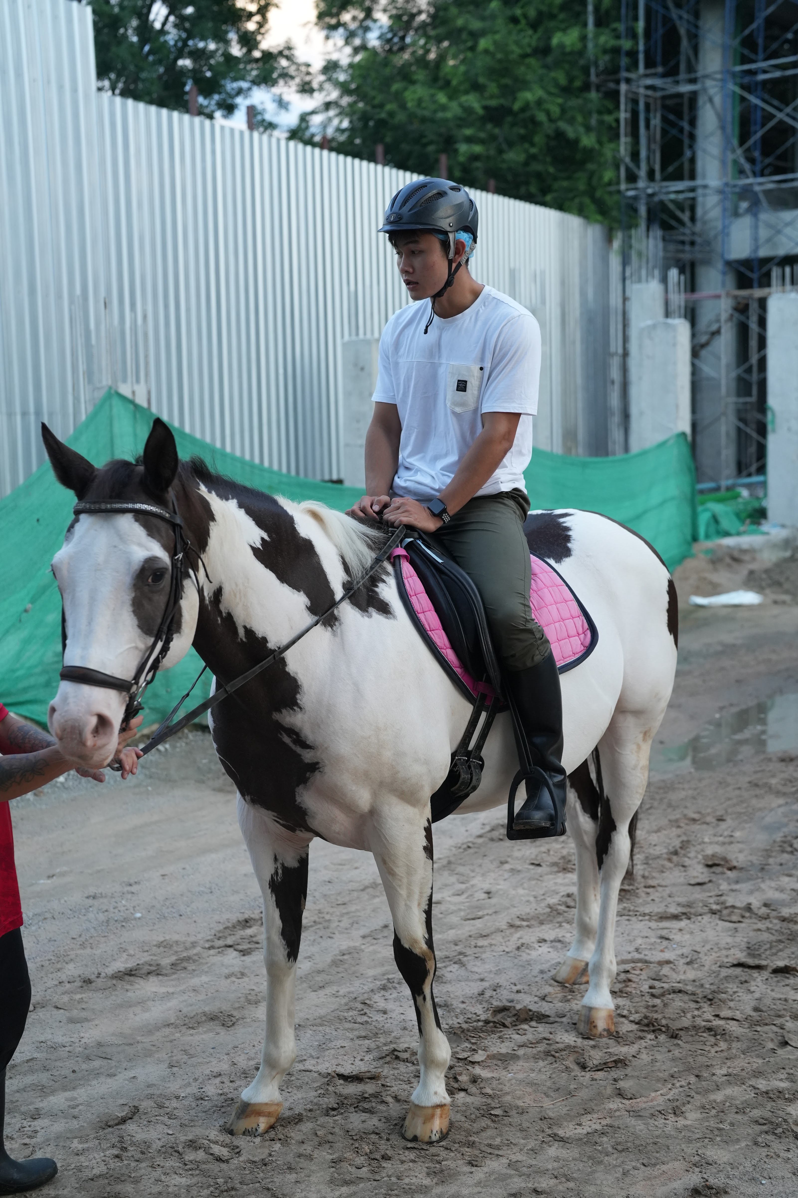 22nd Horse Club