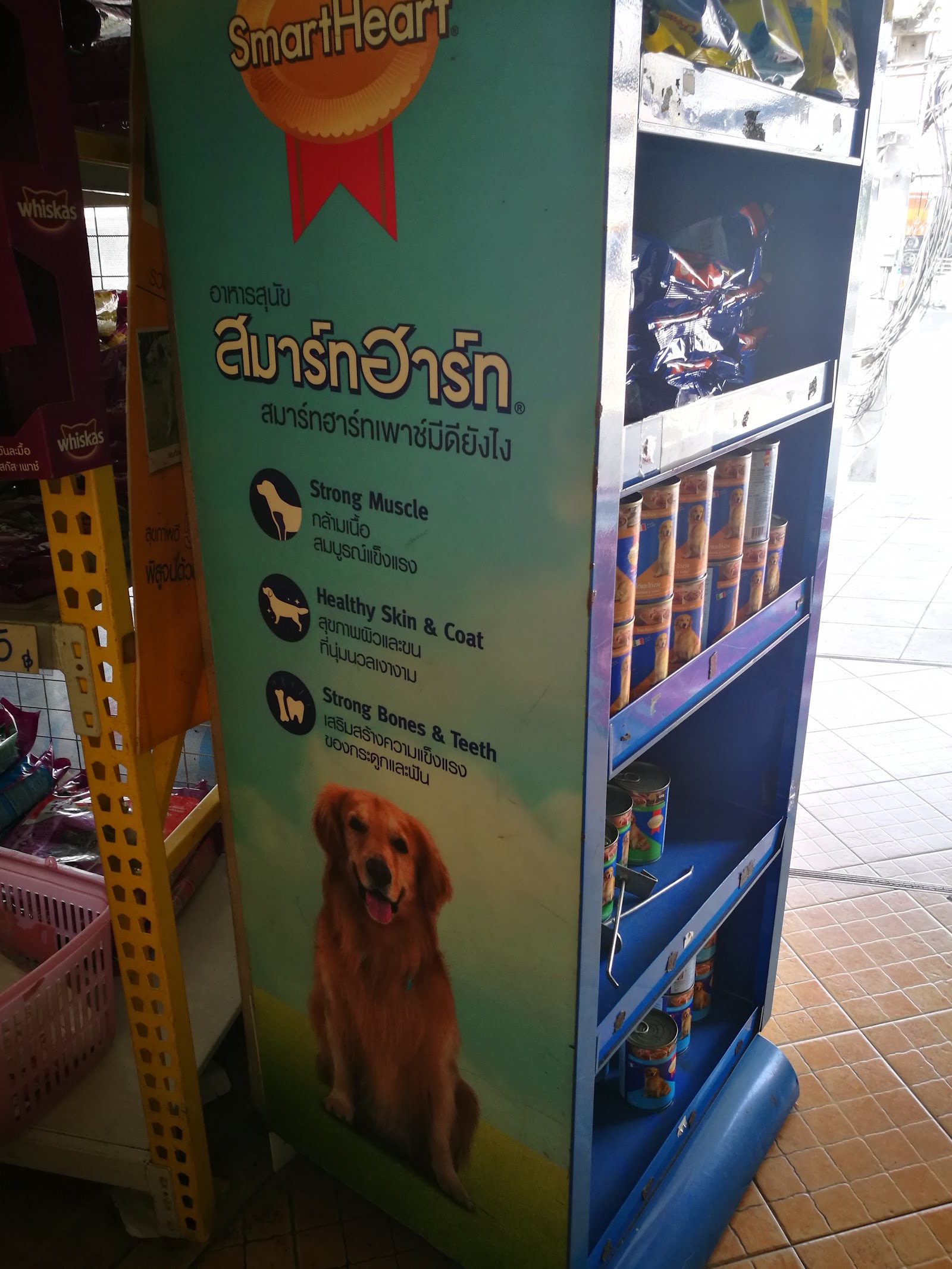 Dog Enjoy