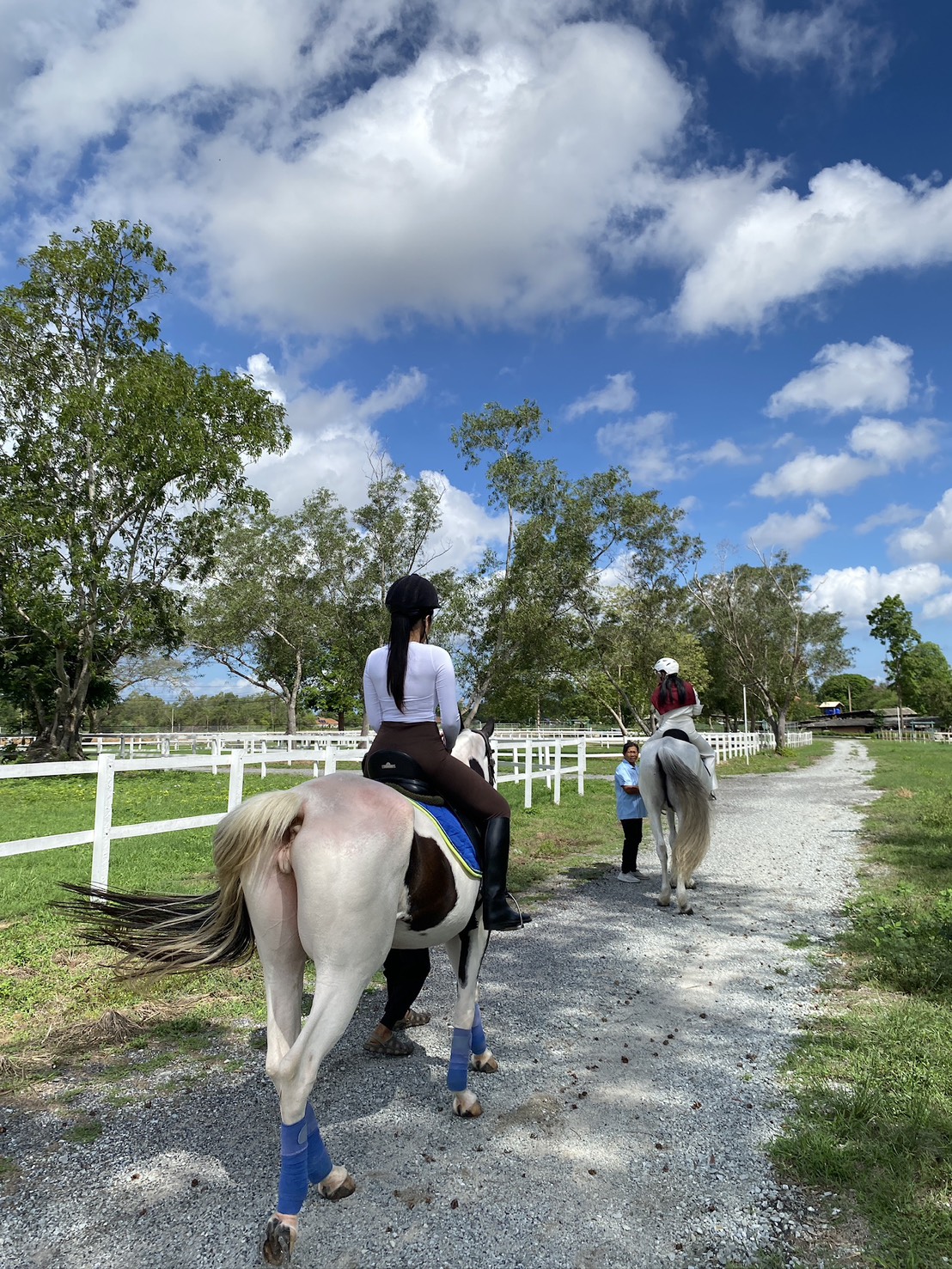 International Riding School at Horseshoe Point
