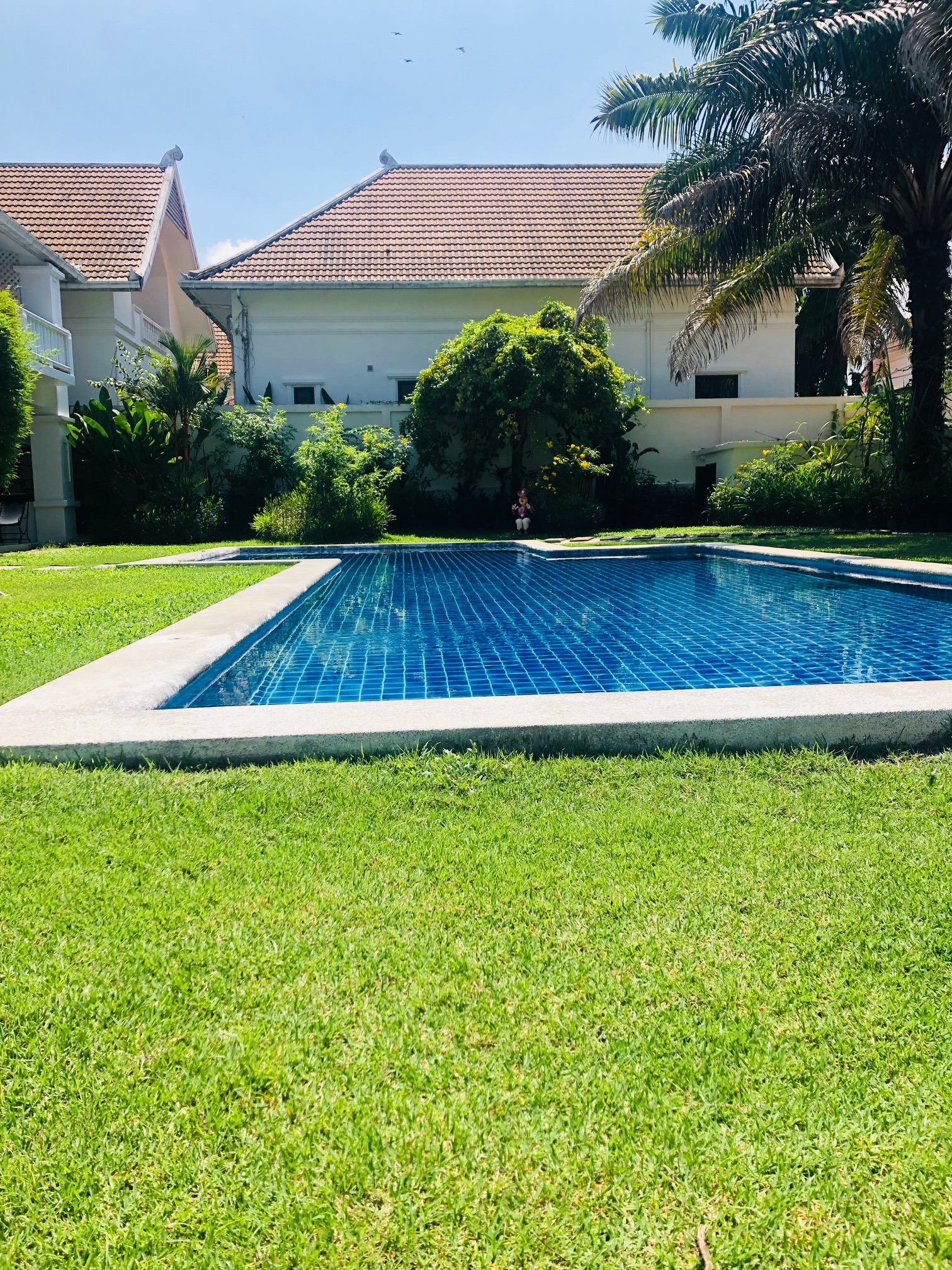 Palm Grove Resort