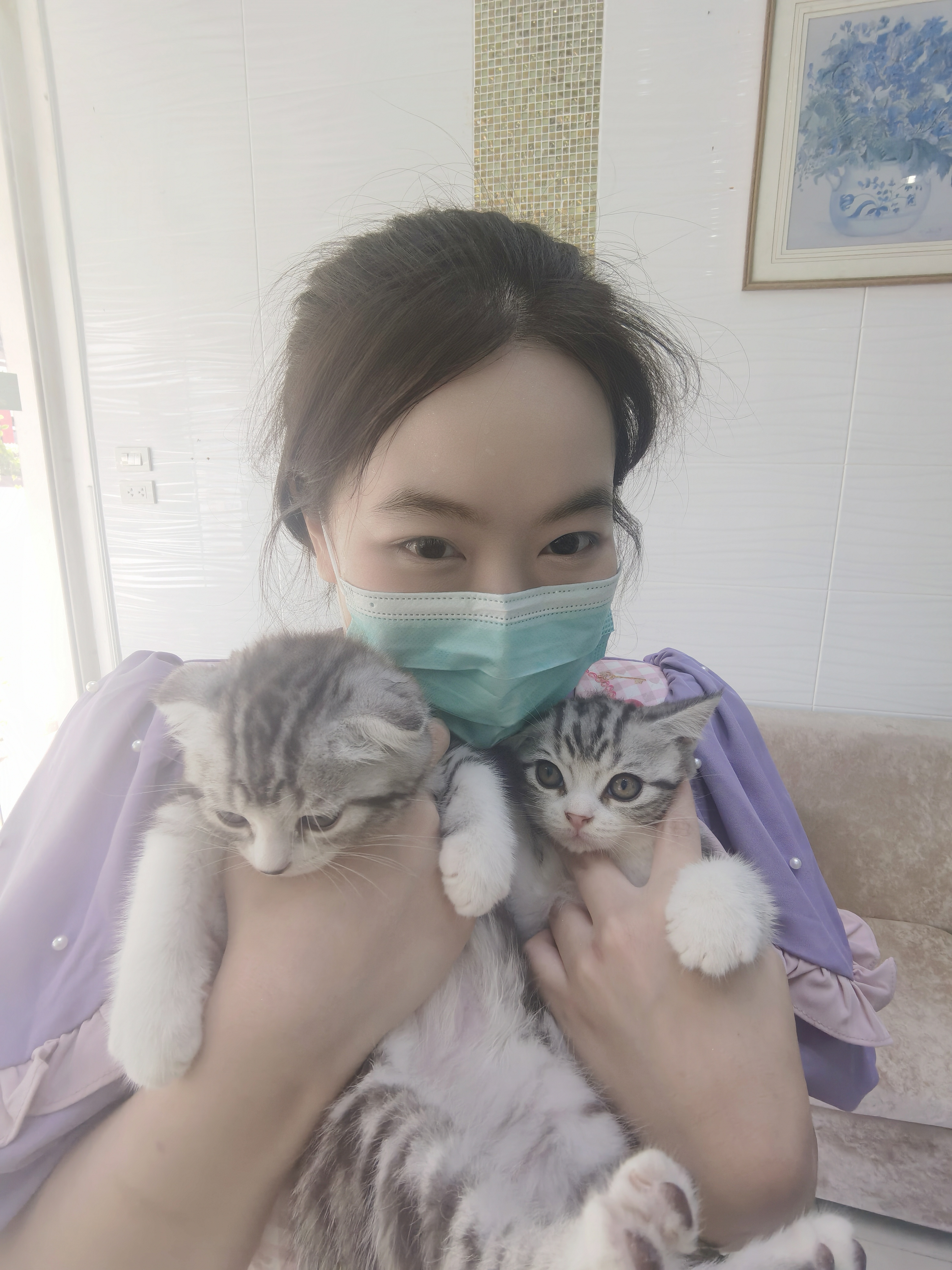 Pattaya Premium Pet Health Center