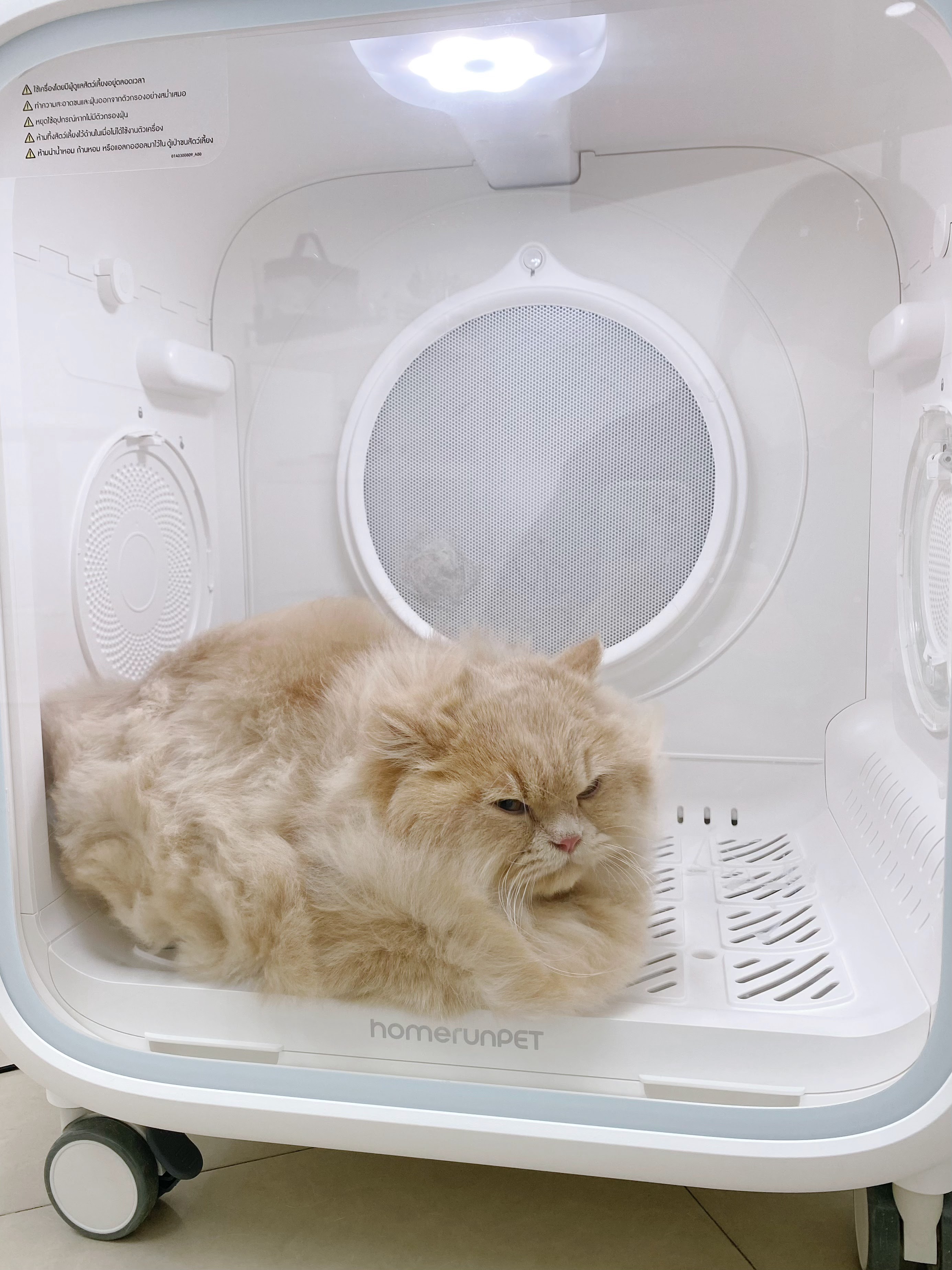 Paws On Earth) - Pet Grooming