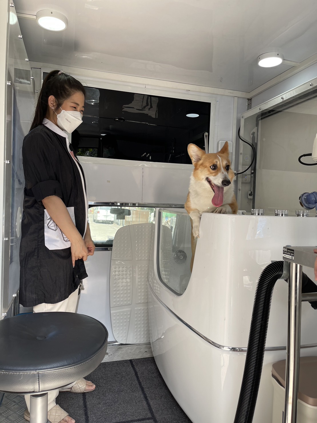 Pet de Bath (Terminal21 ) Grooming & Spa