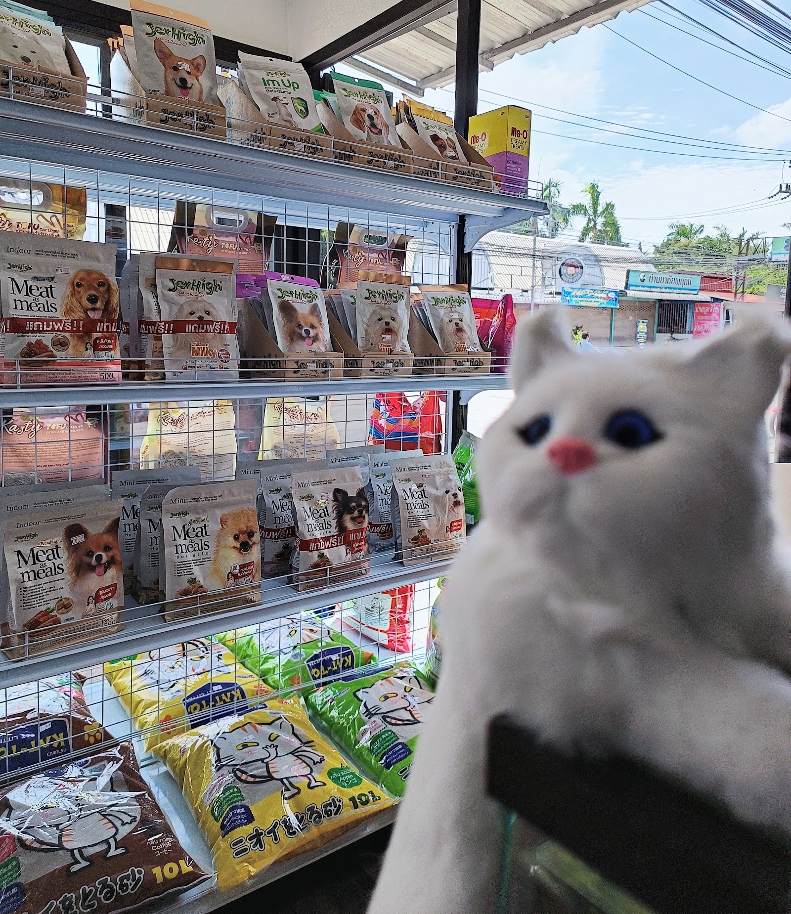 Siri Happy Pet Land