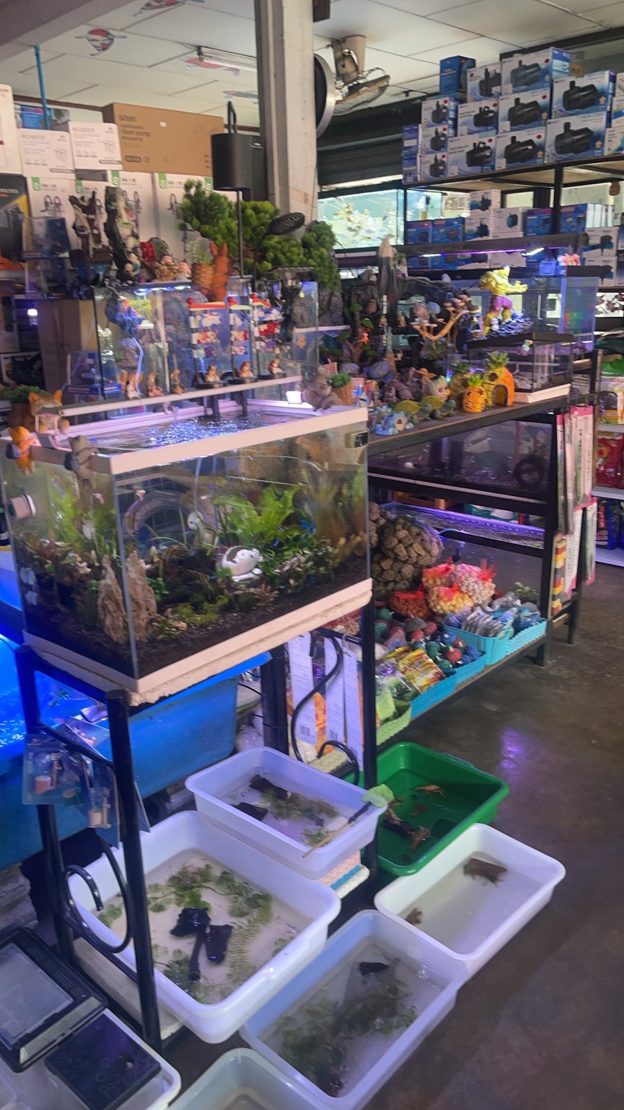 Tao Fish Shop