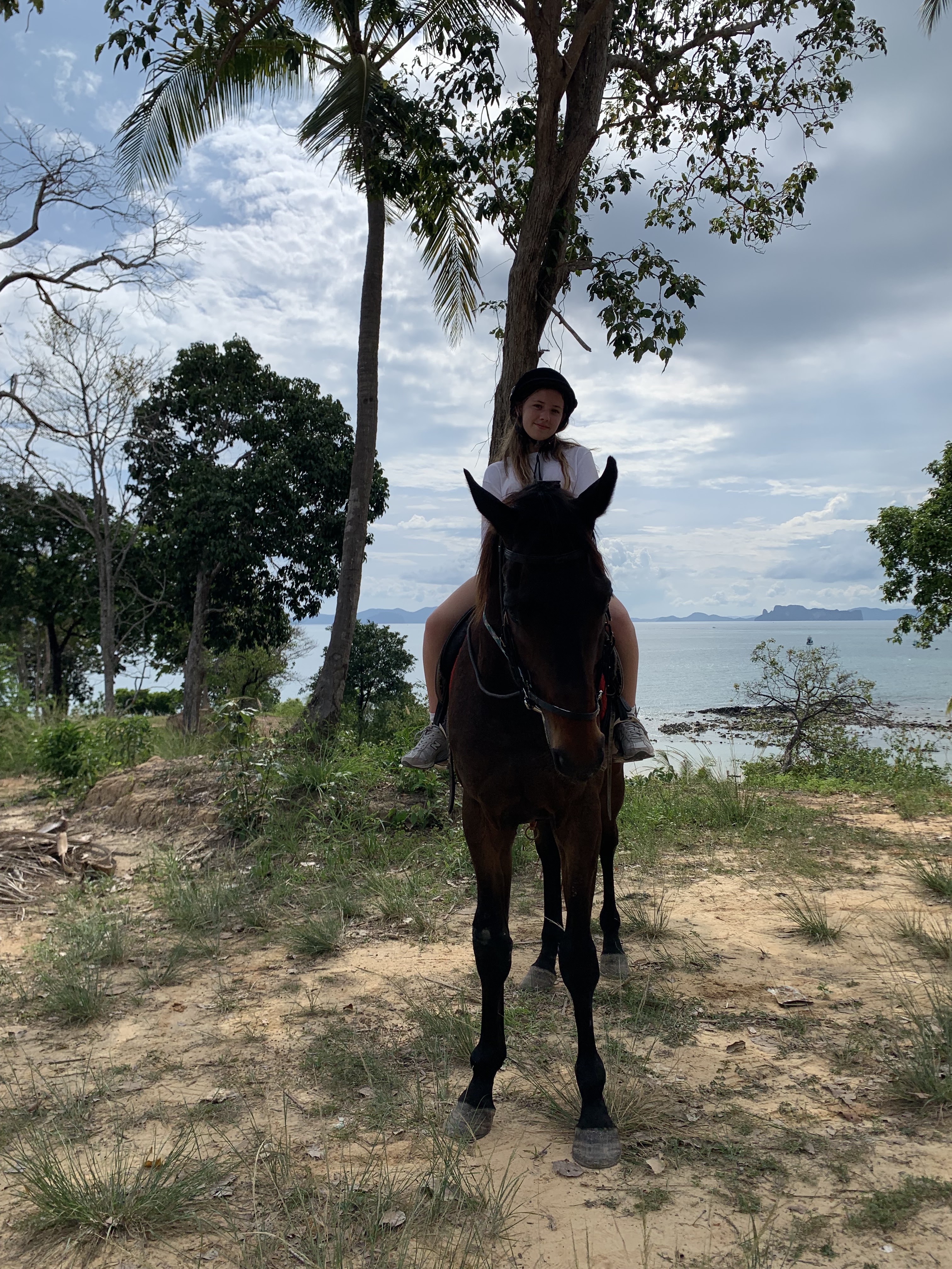 Horse Riding Krabi Khlong Muang