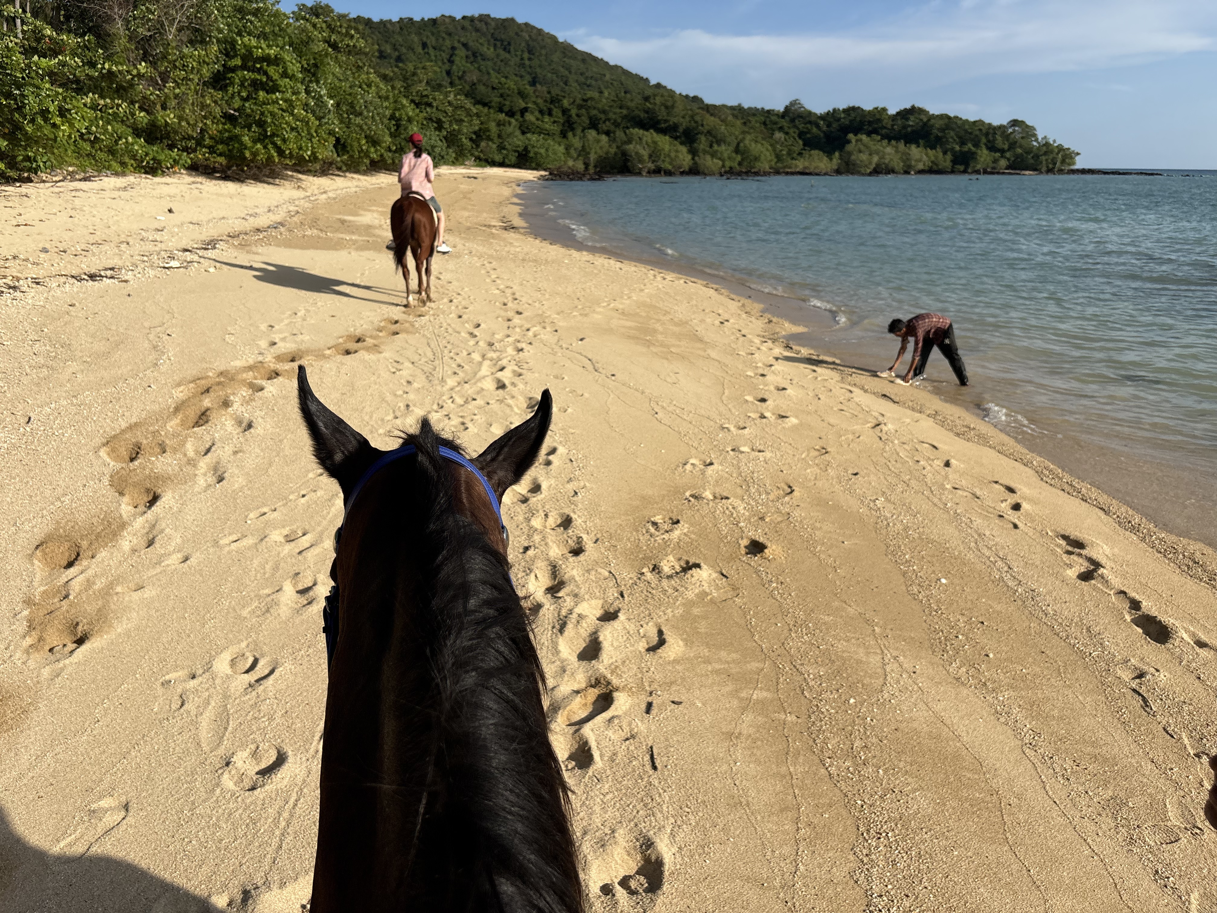 Horse Riding Krabi Khlong Muang