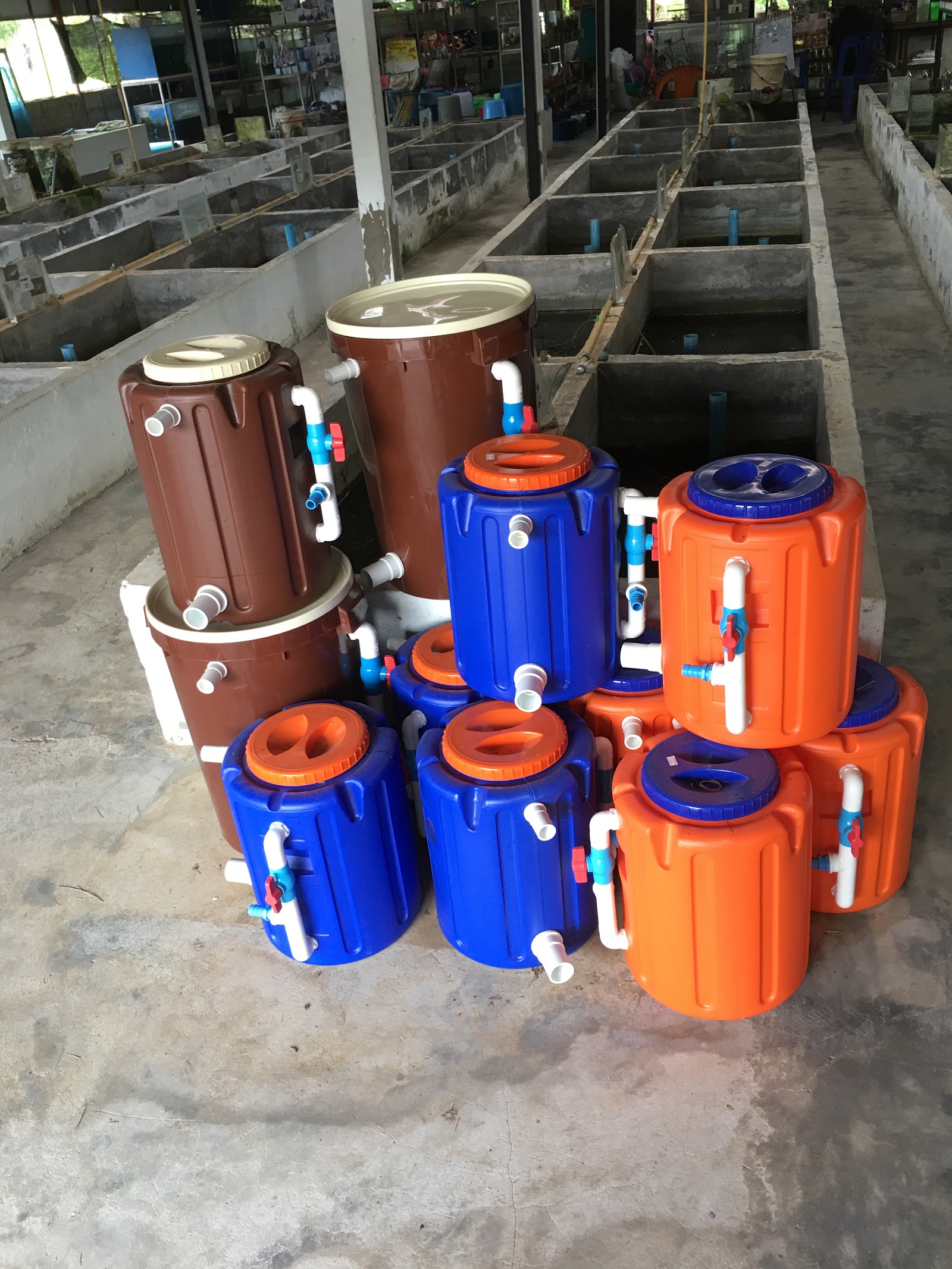 Manambanrakpla fancy fish farm Krabi
