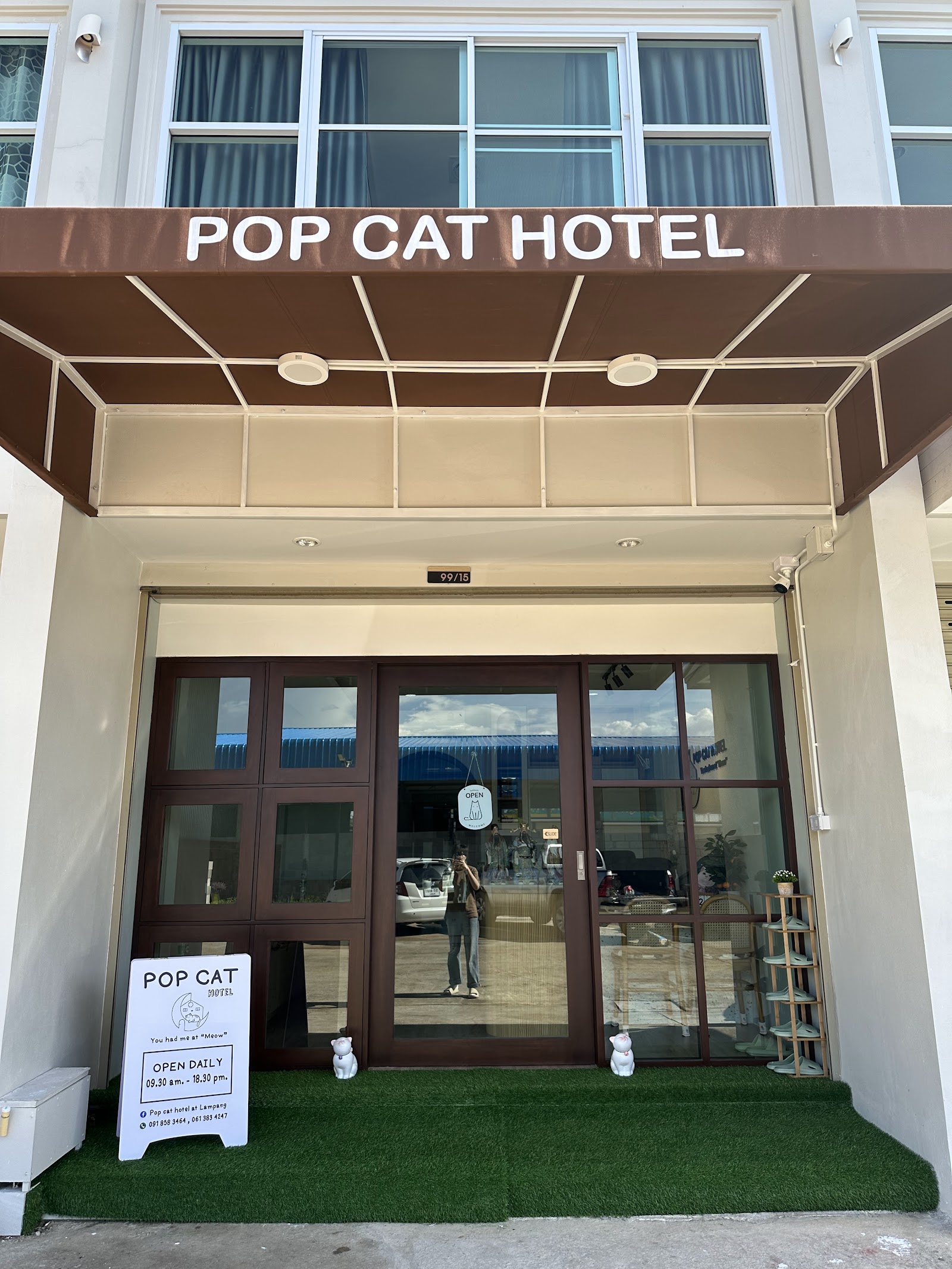 Pop cat hotel at Lampang