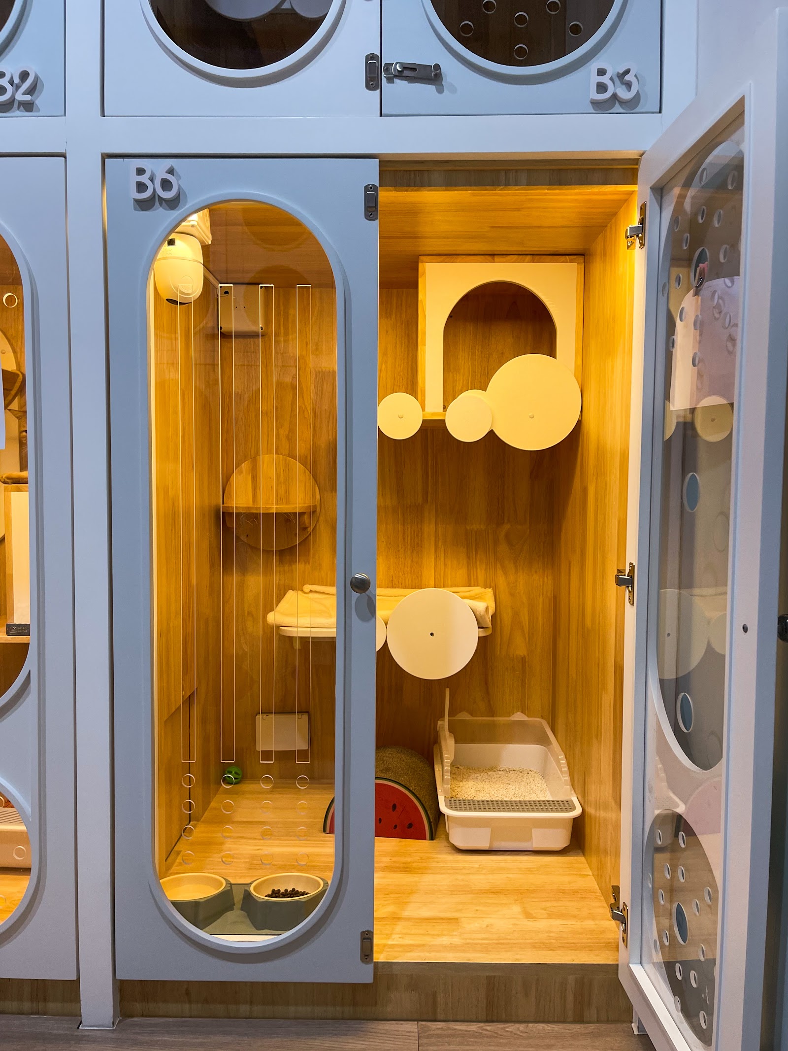 Pop cat hotel at Lampang