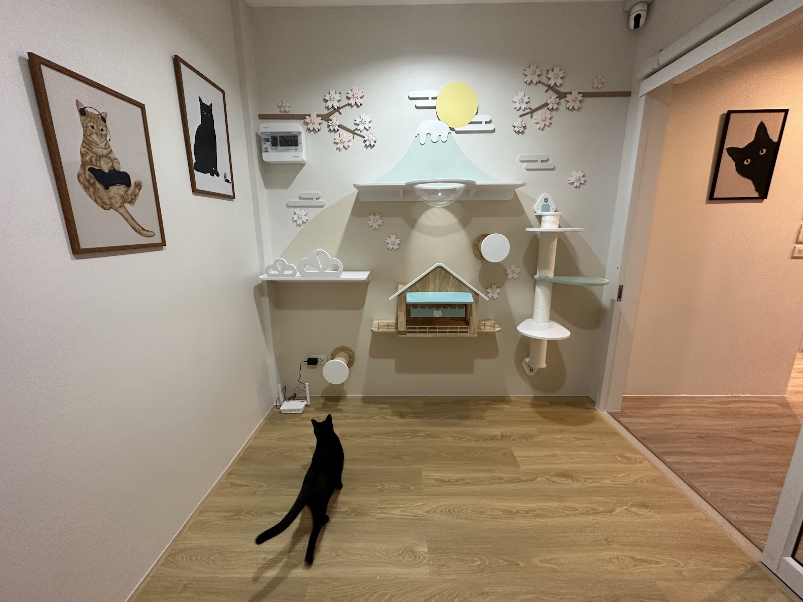 Pop cat hotel at Lampang