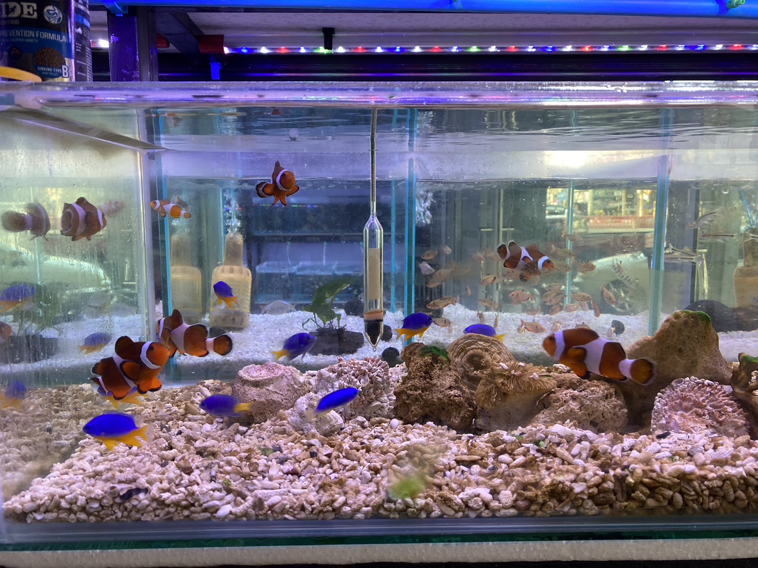 Fish One Lopburi