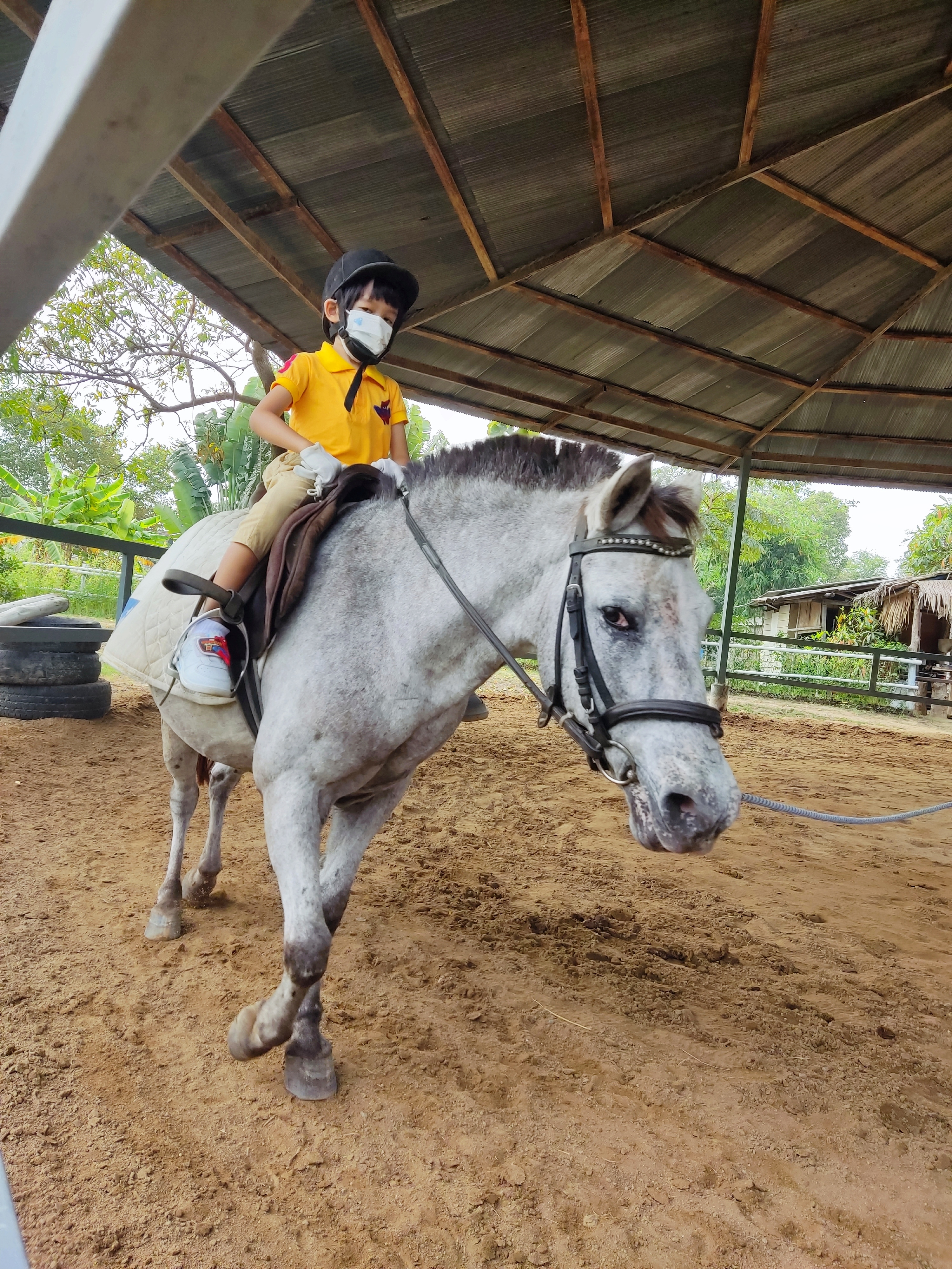 The Horseland Riding Club