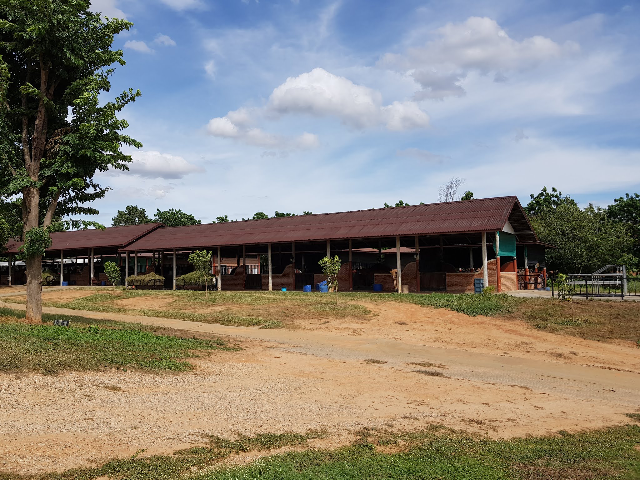 North Star Equestrian Centre