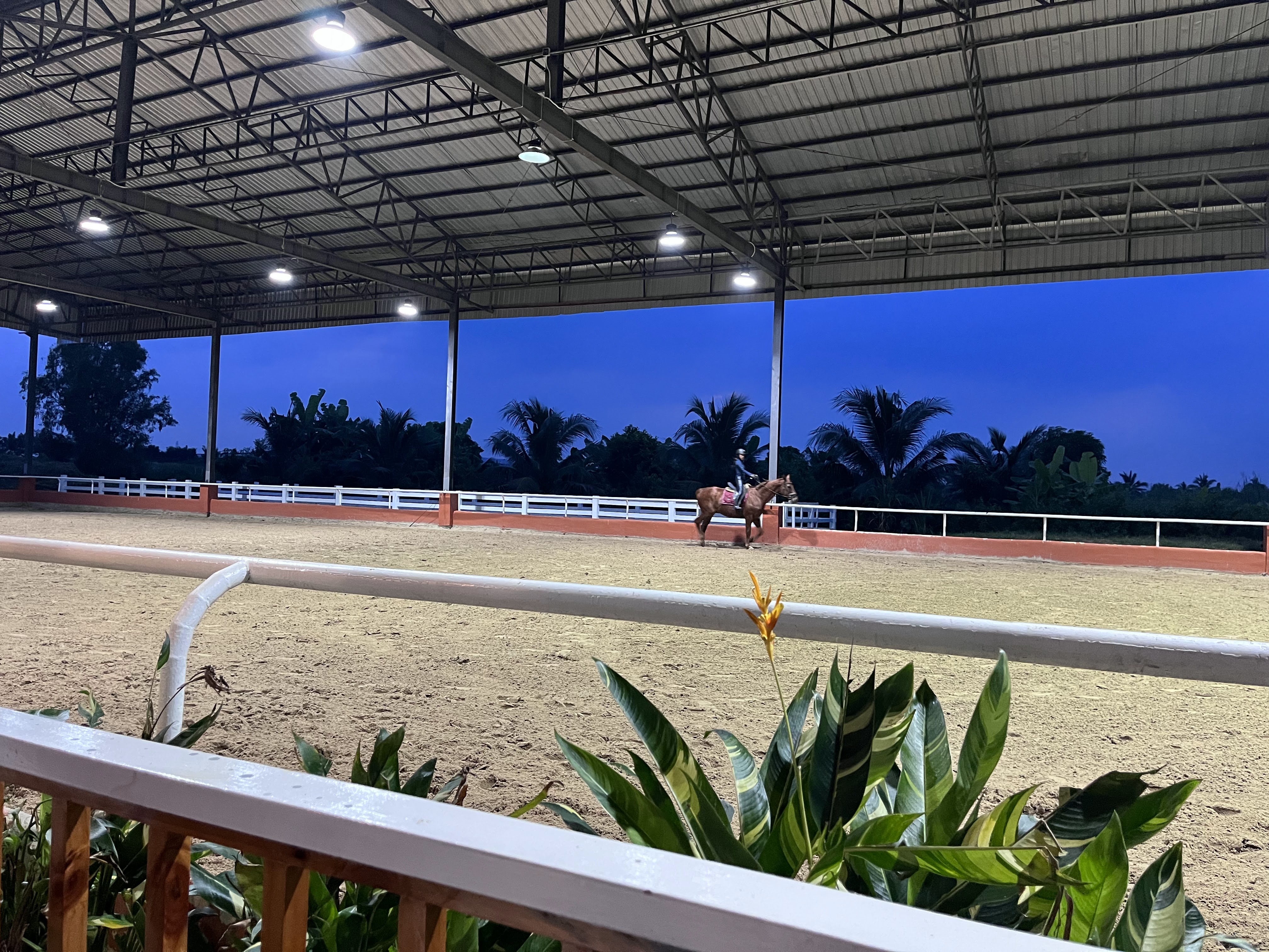 Good Feel Equestrian Club