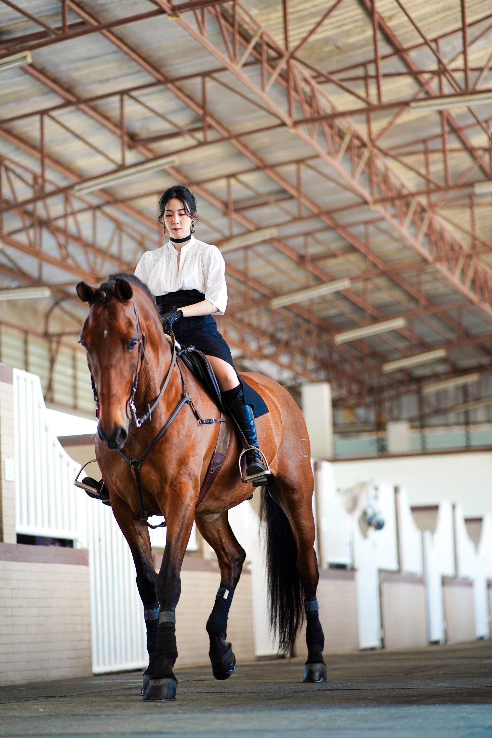 HOKOMO Equestrian Club