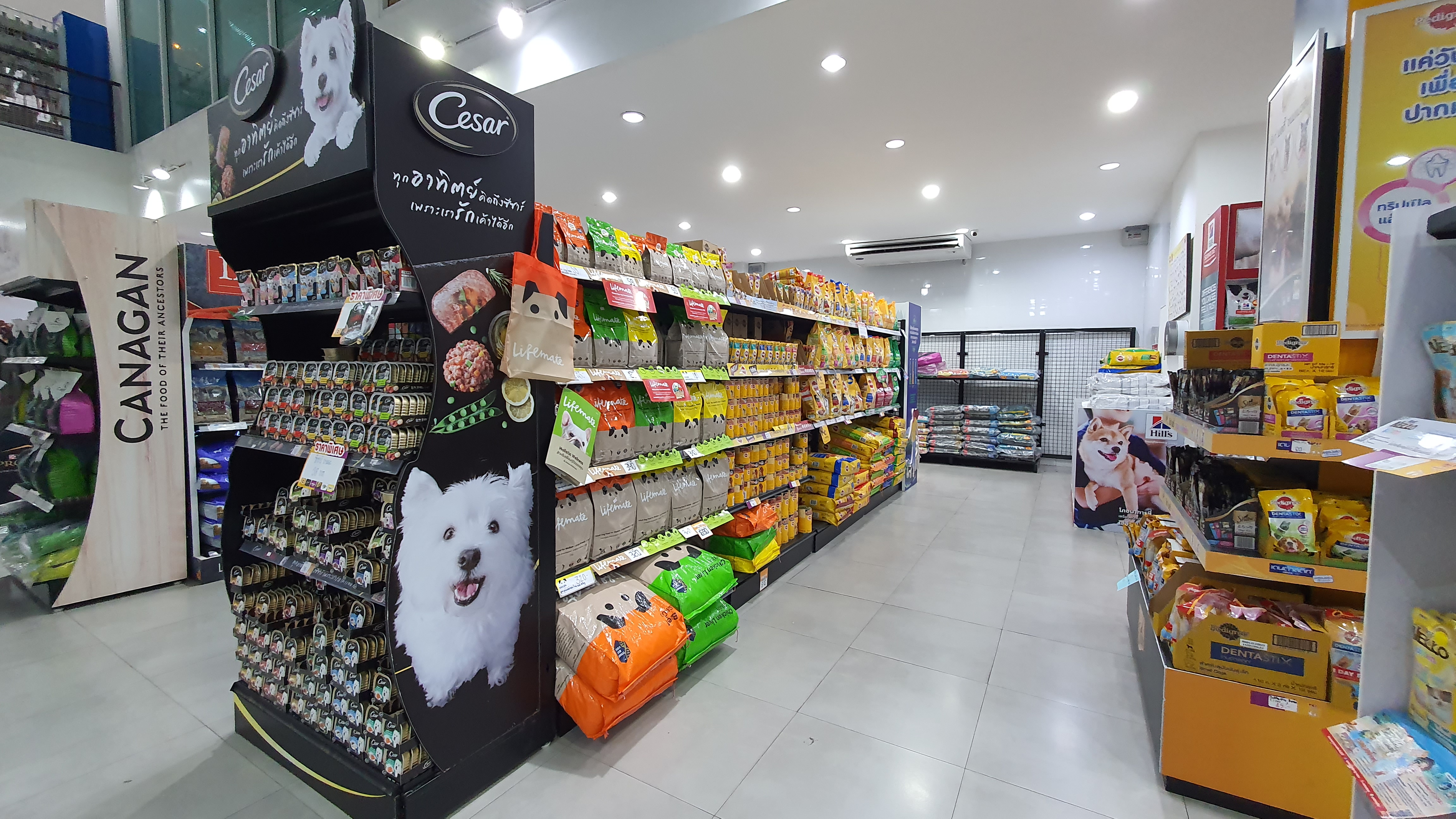 PET KINGDOM