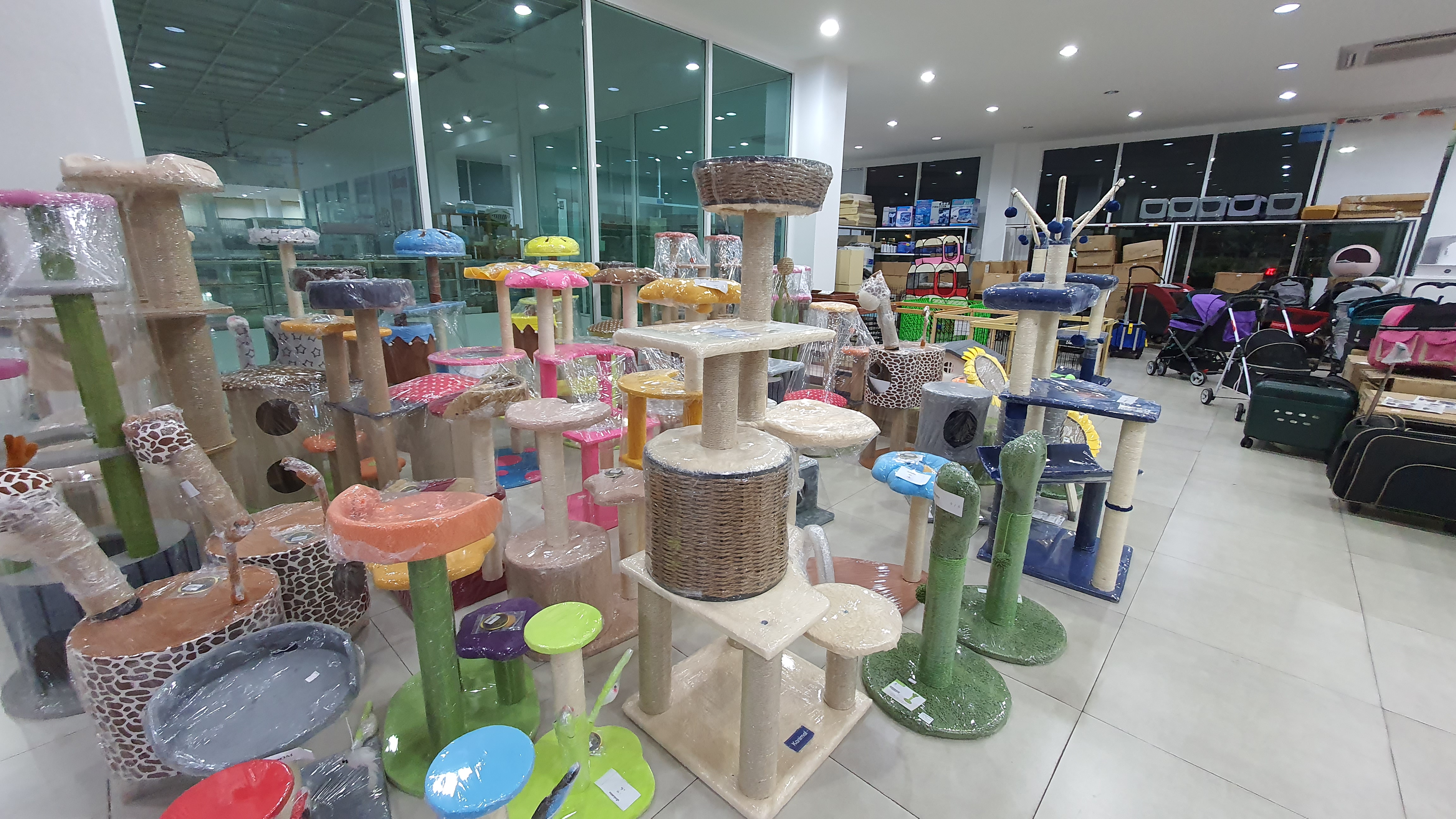 PET KINGDOM