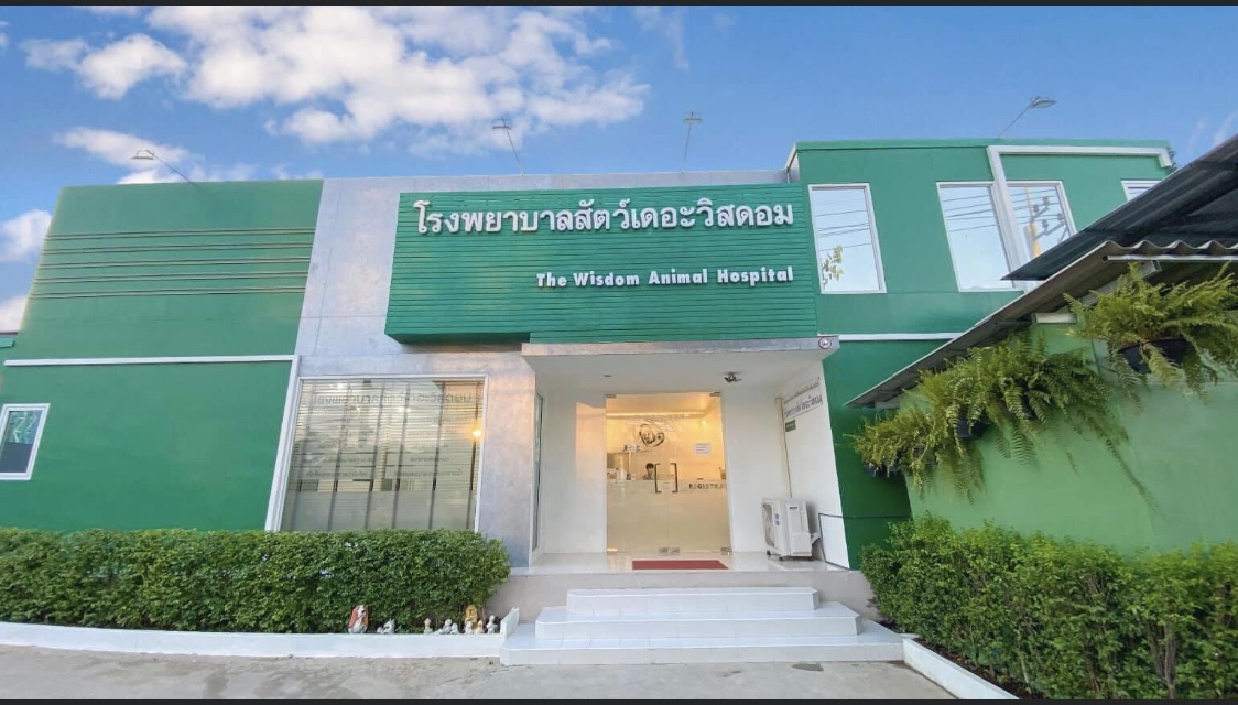 The Wisdom Animal Hospital