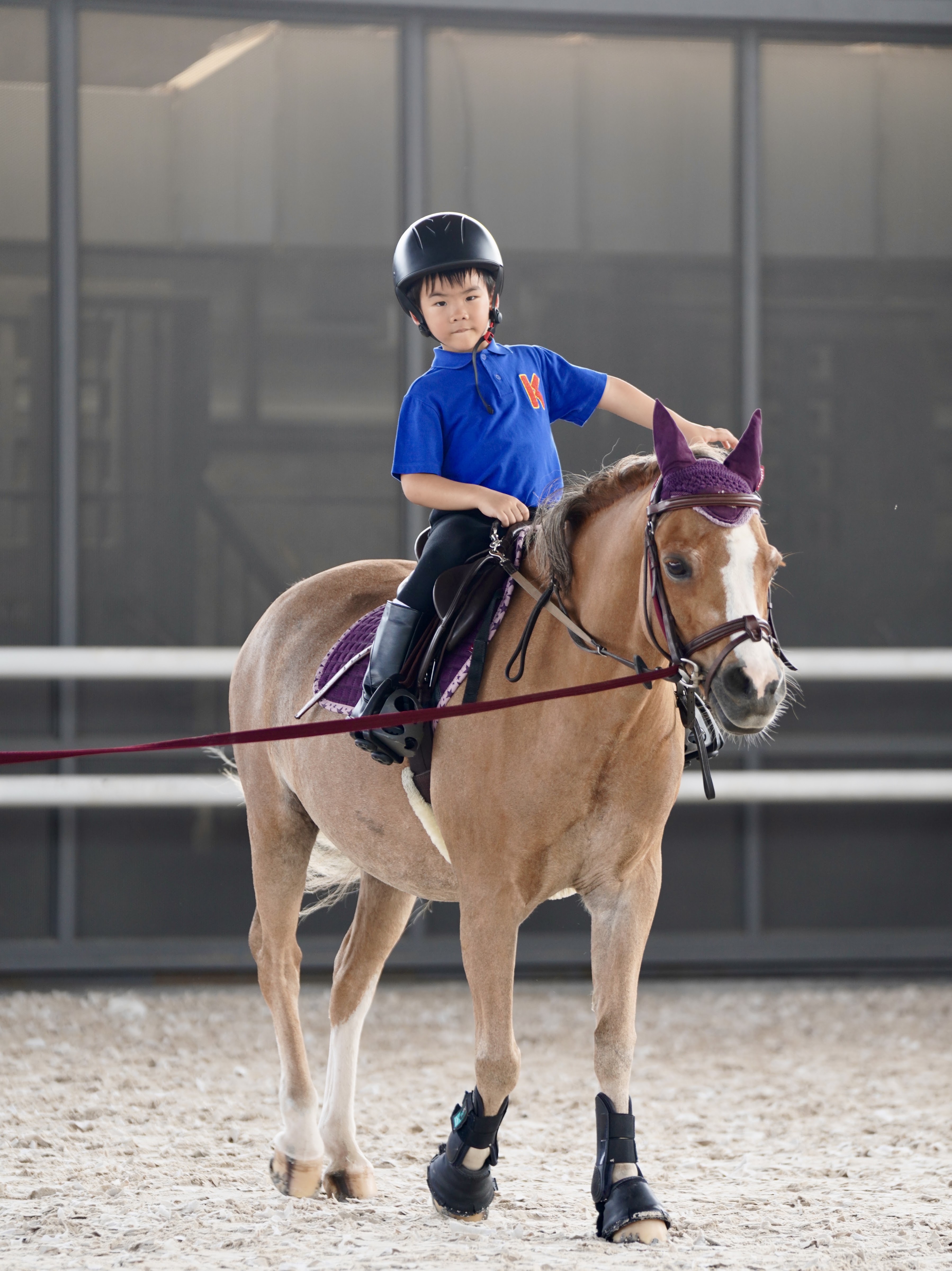 Harmonia Stables