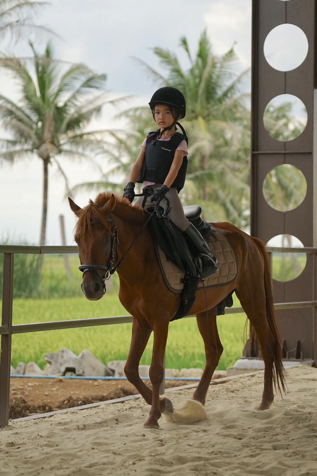Little Bit Horse Club