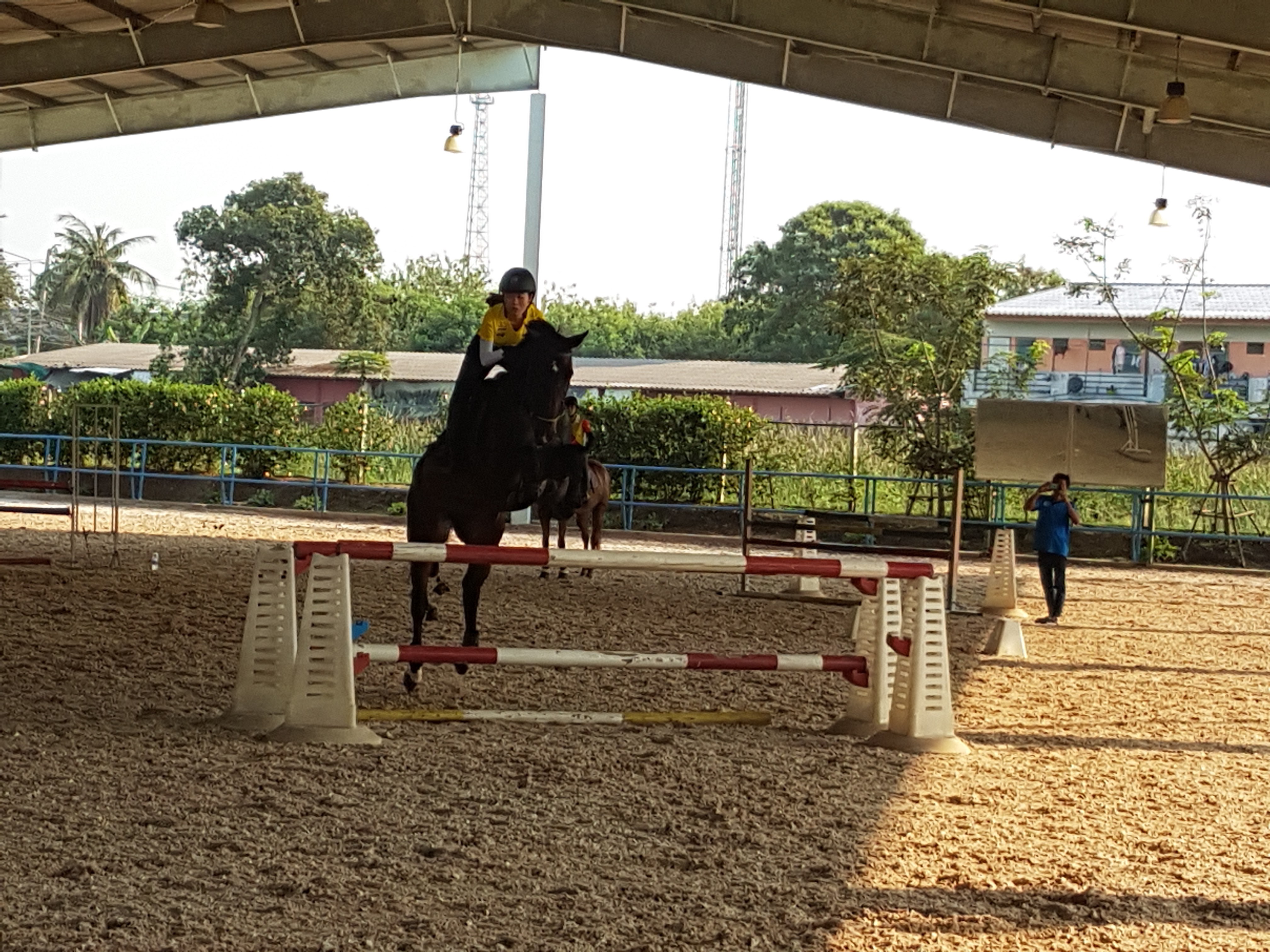 NESC [New Equestrian Society Club