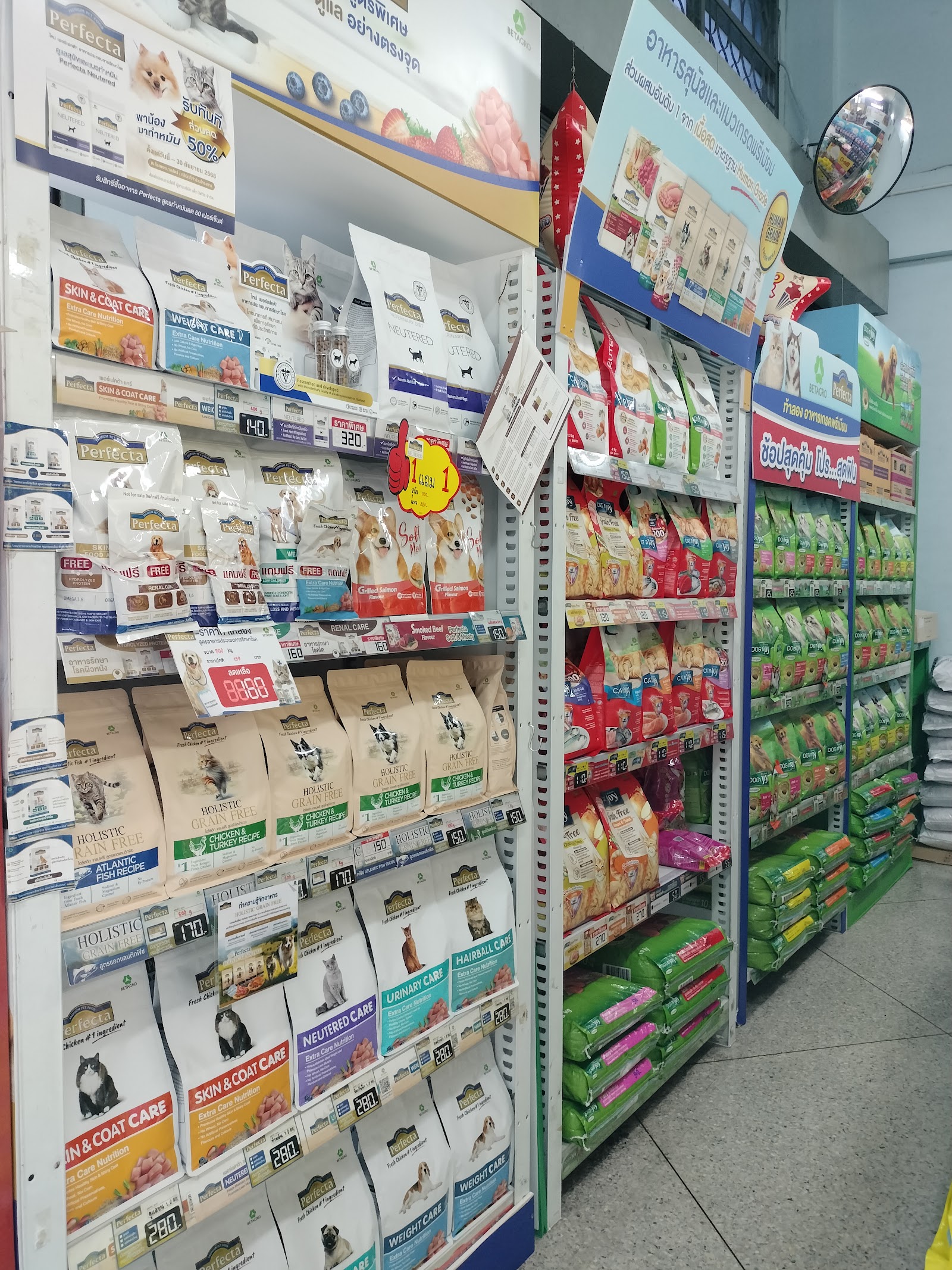 Animal Medicine