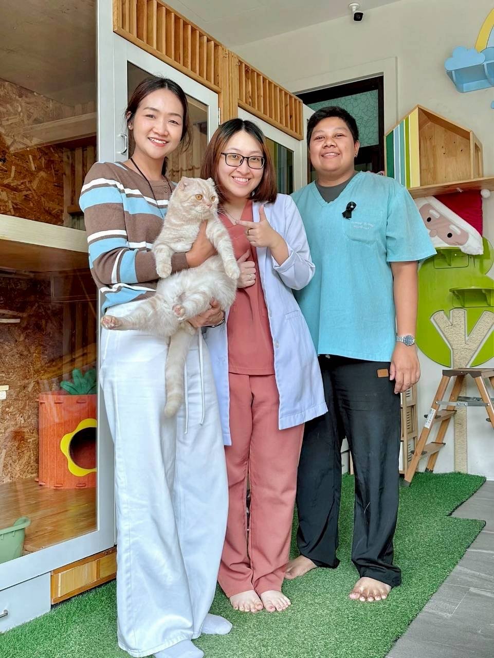 Cat Hotel and Grooming