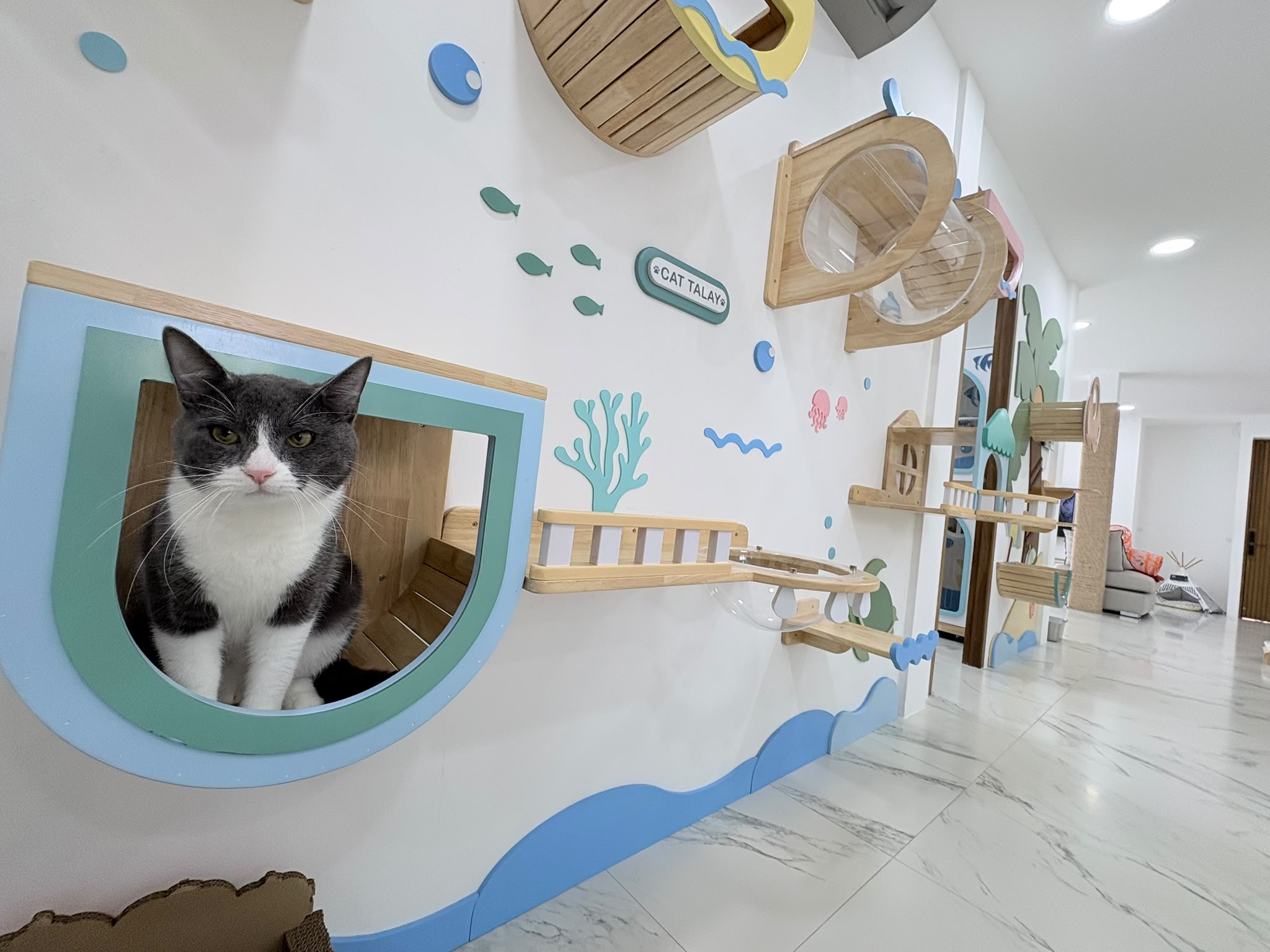 Cat Talay Hotel