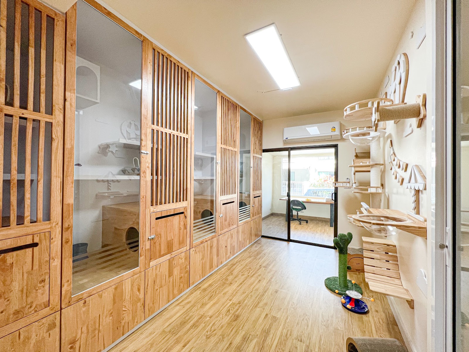 Catspurry Cat Hotel & Cat Grooming Phuket