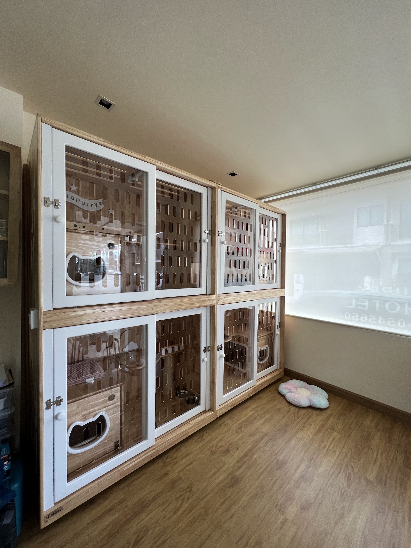 Catspurry Cat Hotel & Cat Grooming Phuket