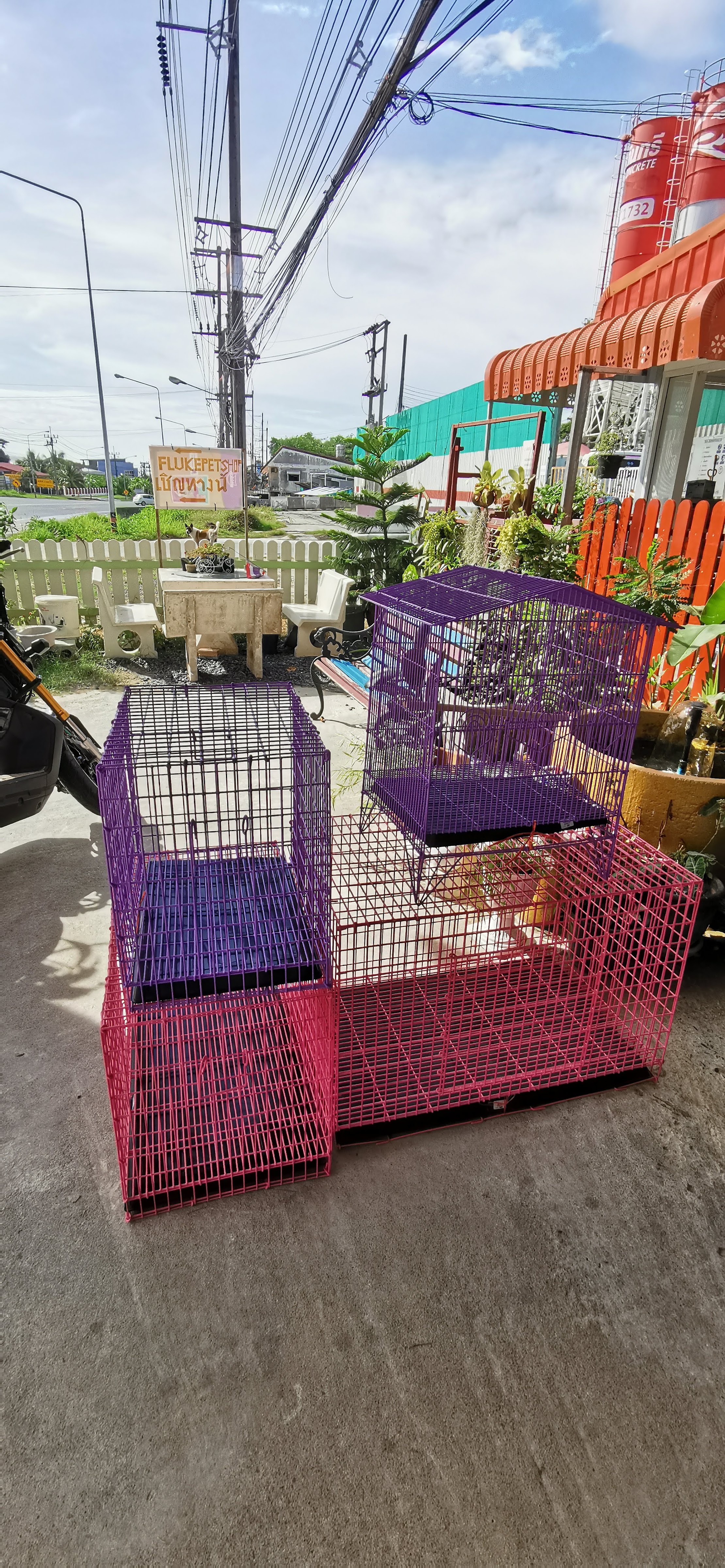 Fluke Pet Shop