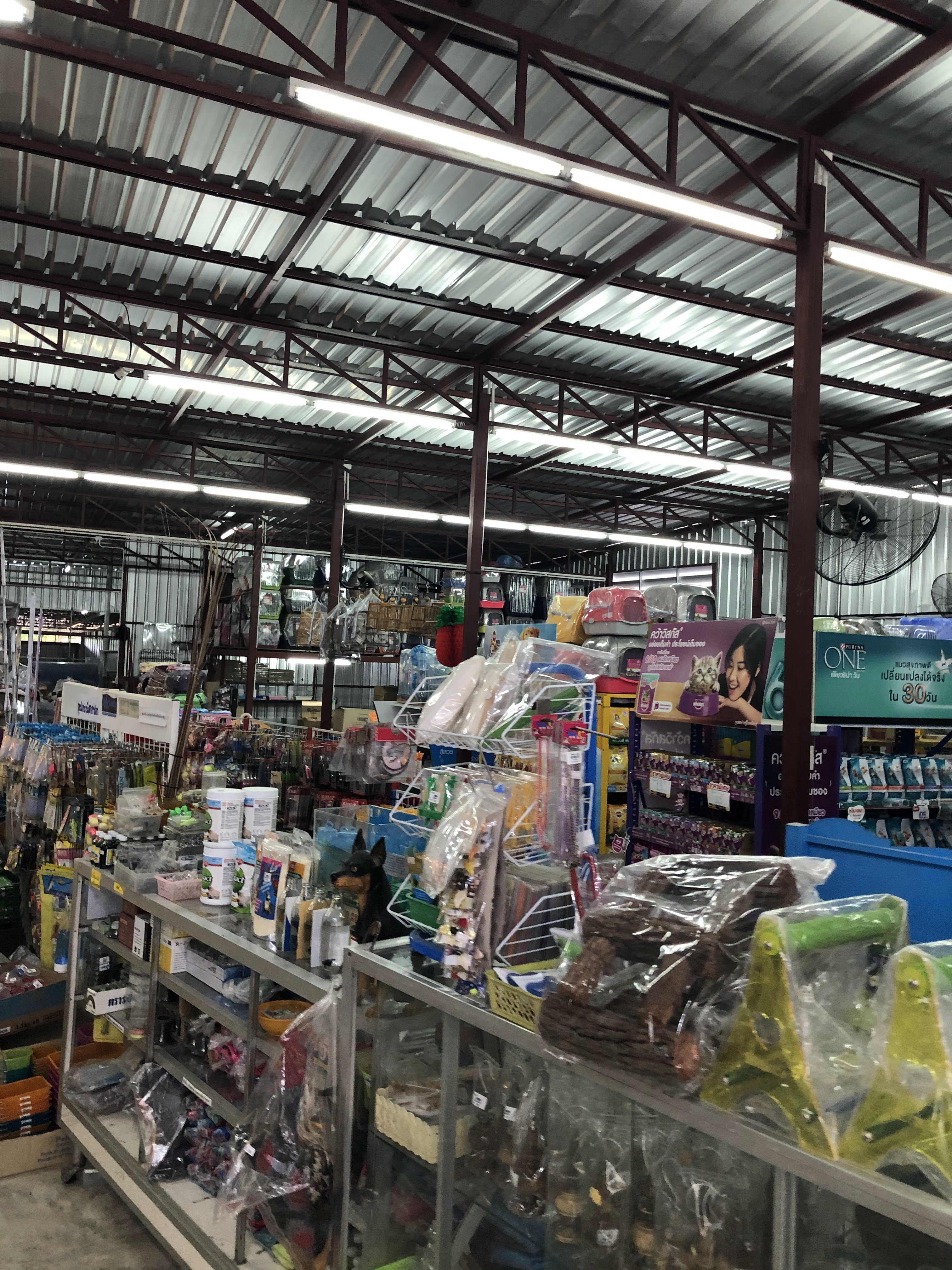 Fluke Pet Shop