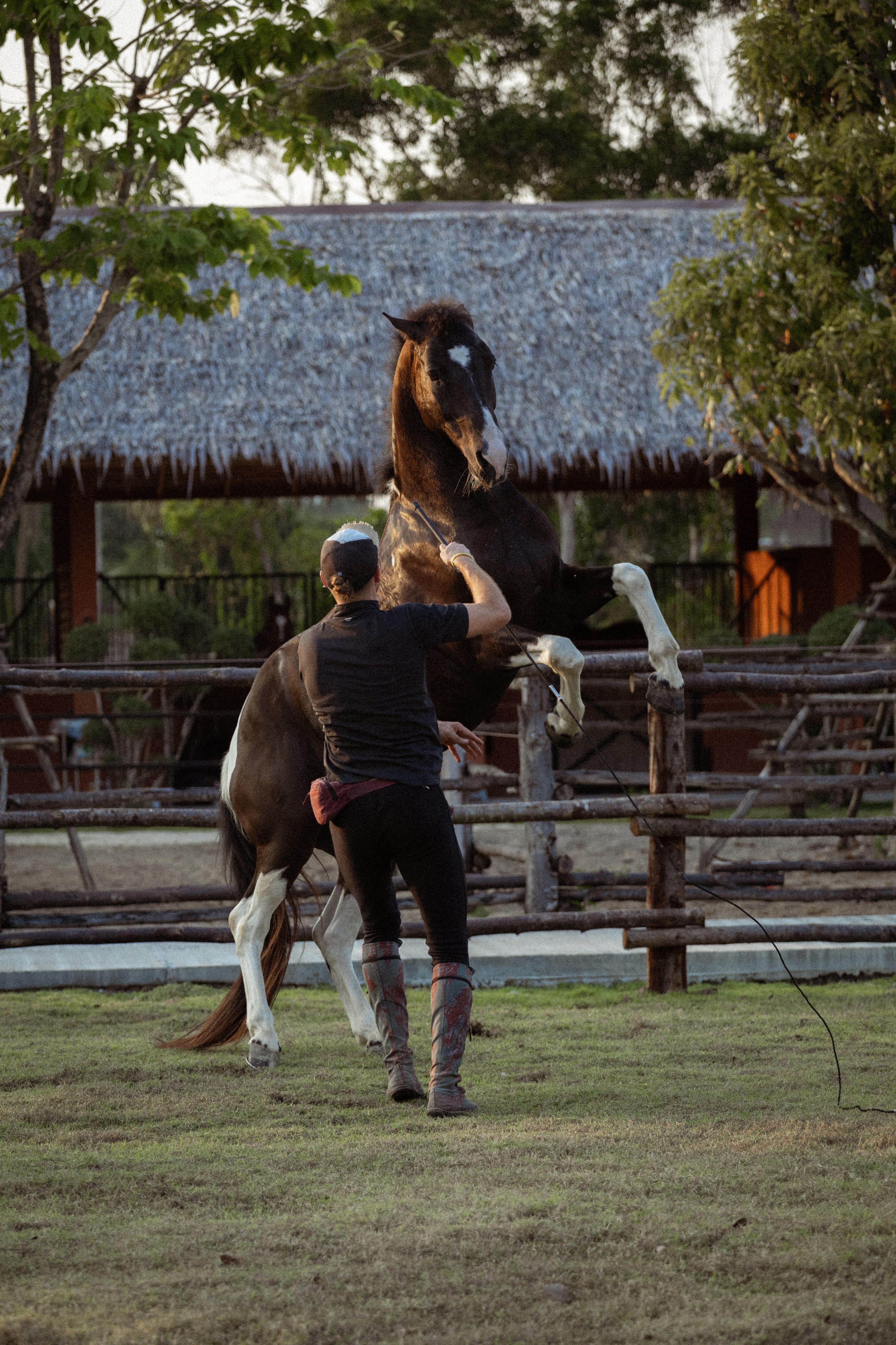 Niran Equestrian Center at Niran Farm